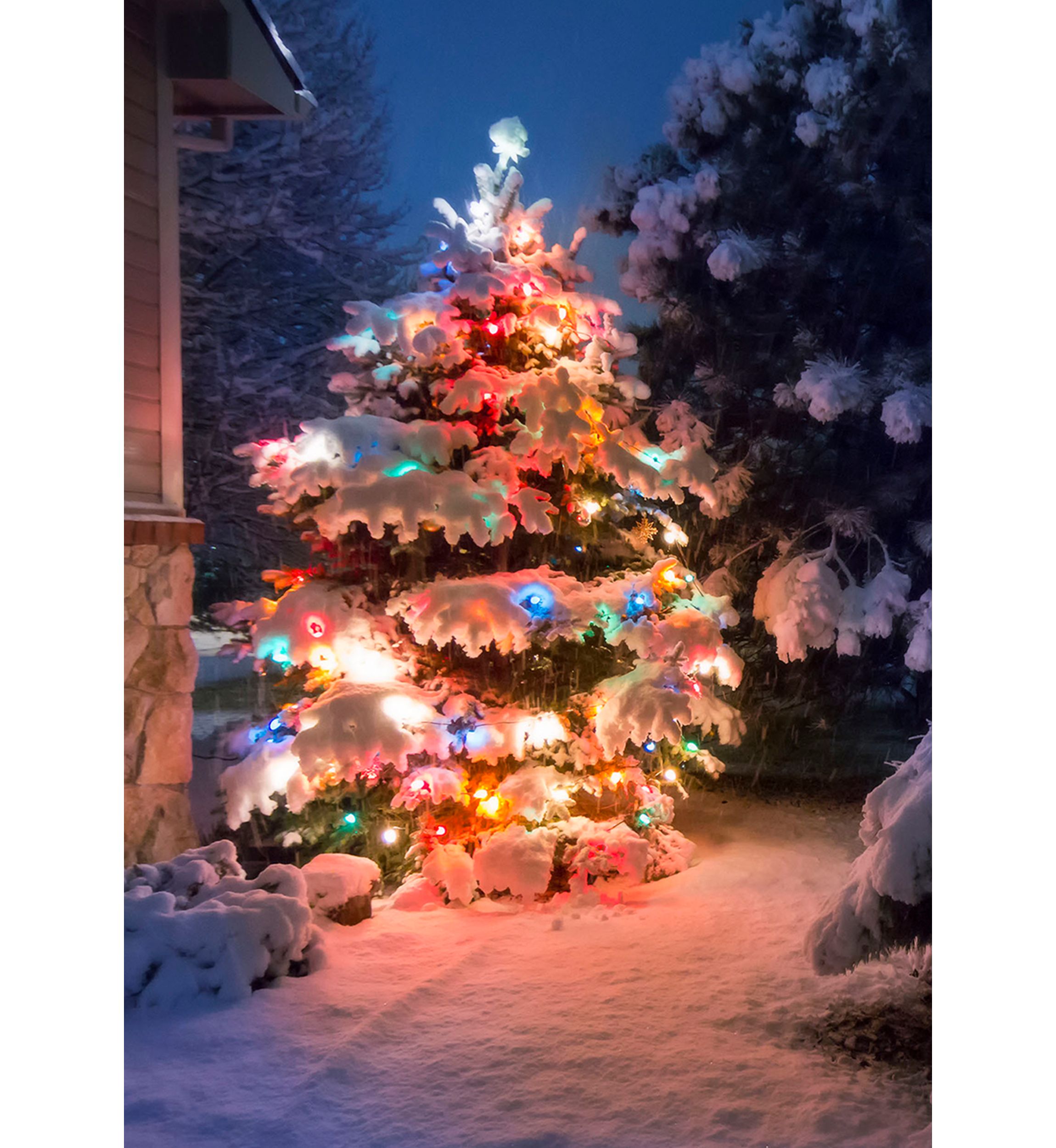 Set of 300 Multi-Color Mini Christmas Lights 2.5Inch Spacing - Green Wire