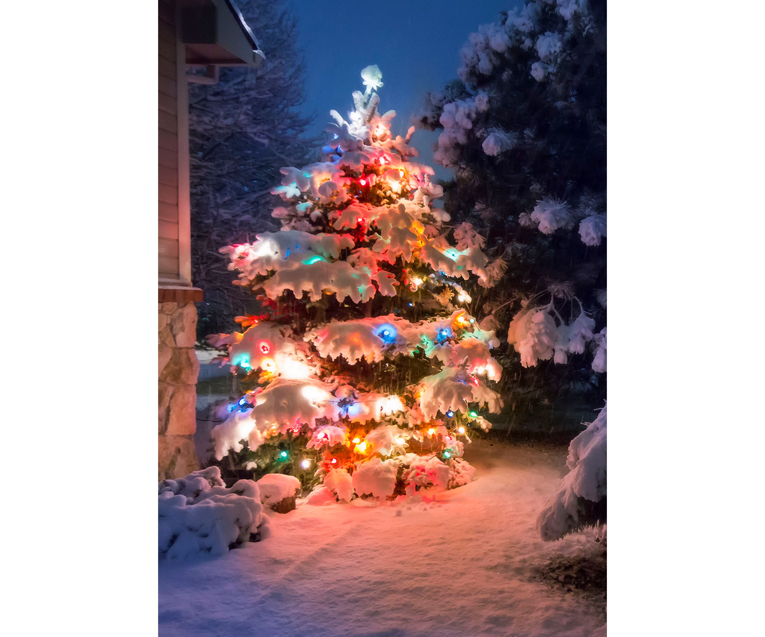 Set of 300 Multi-Color Mini Christmas Lights 2.5Inch Spacing - Green Wire