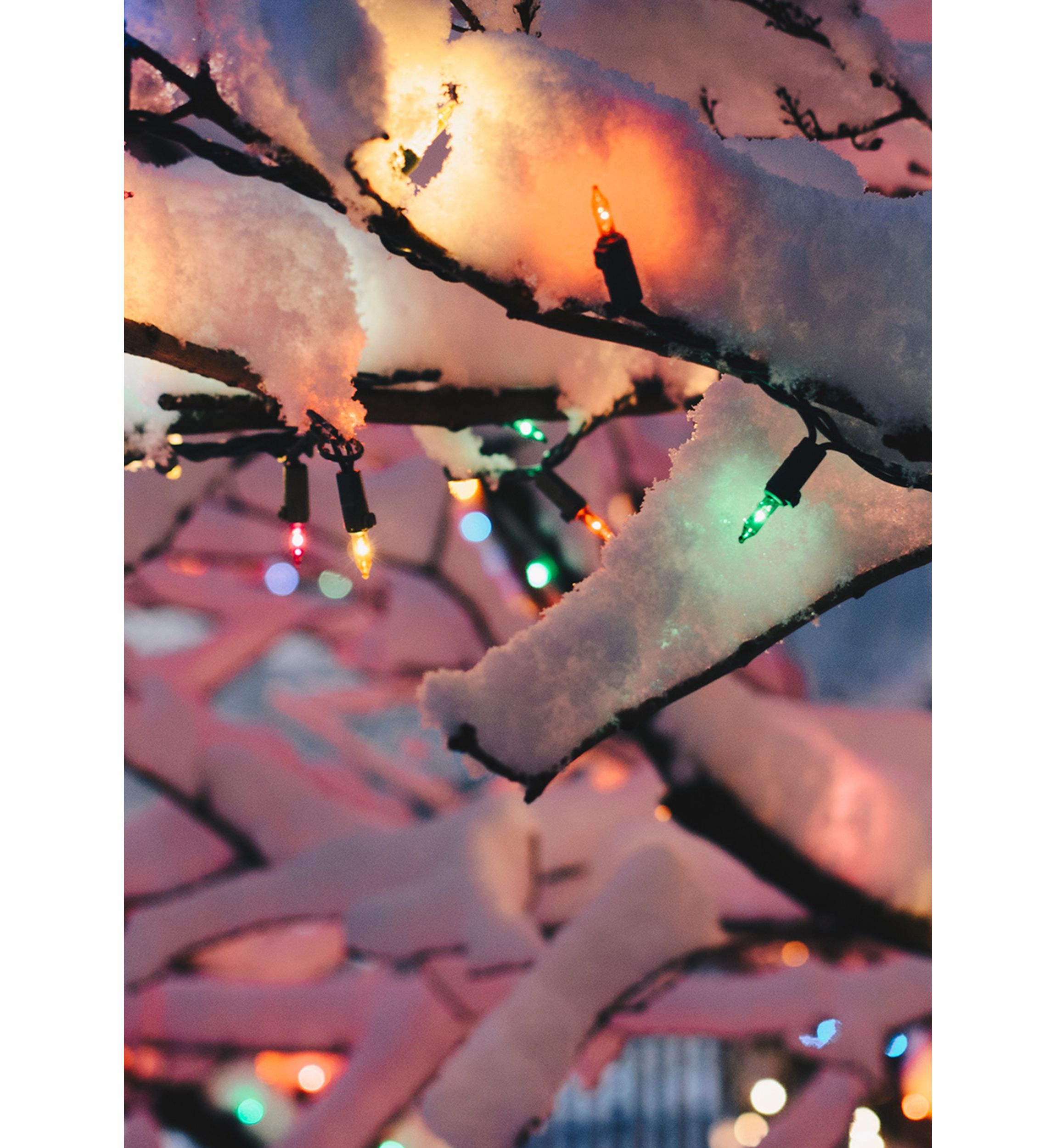 Set of 300 Multi-Color Mini Christmas Lights 2.5Inch Spacing - Green Wire
