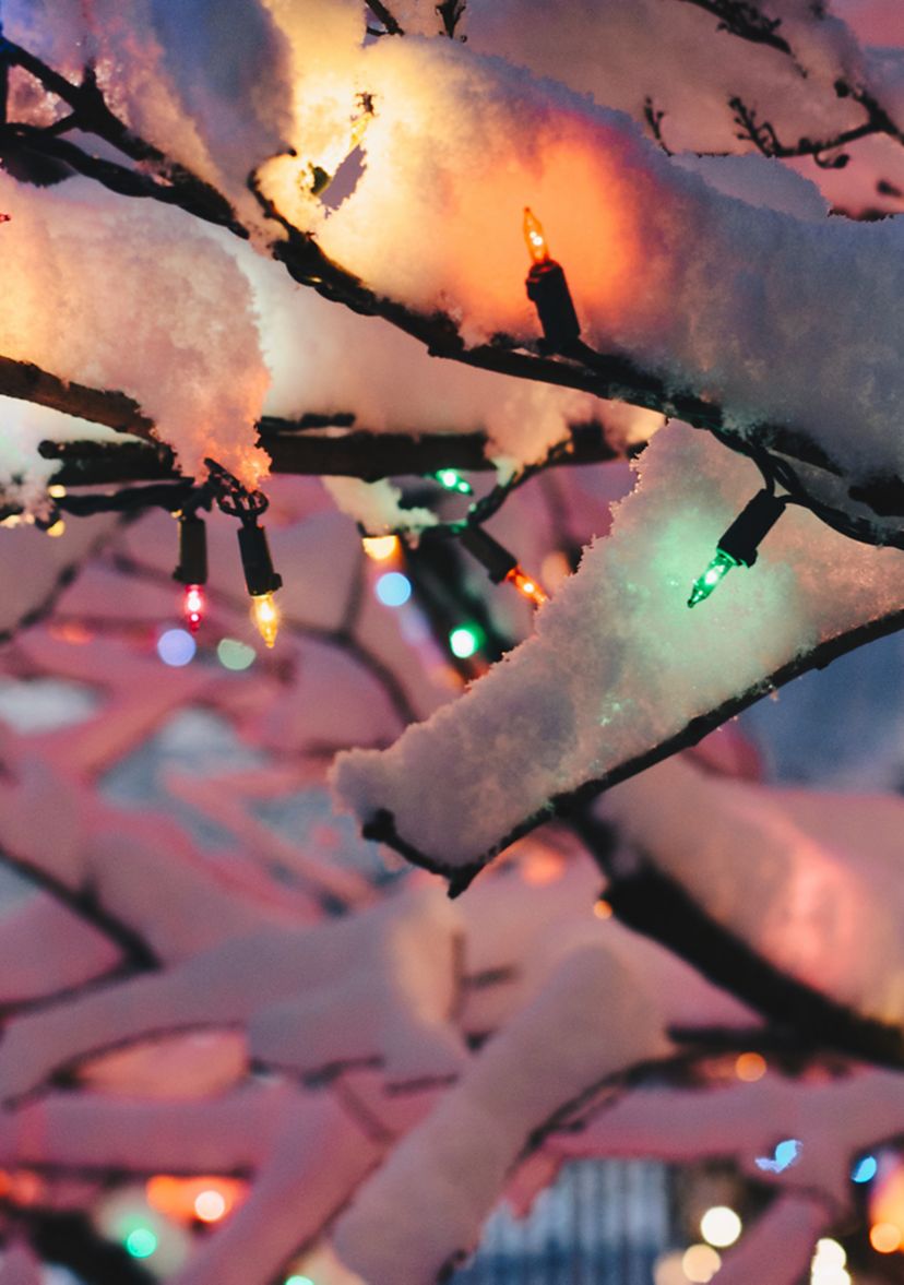 Set of 300 Multi-Color Mini Christmas Lights 2.5Inch Spacing - Green Wire