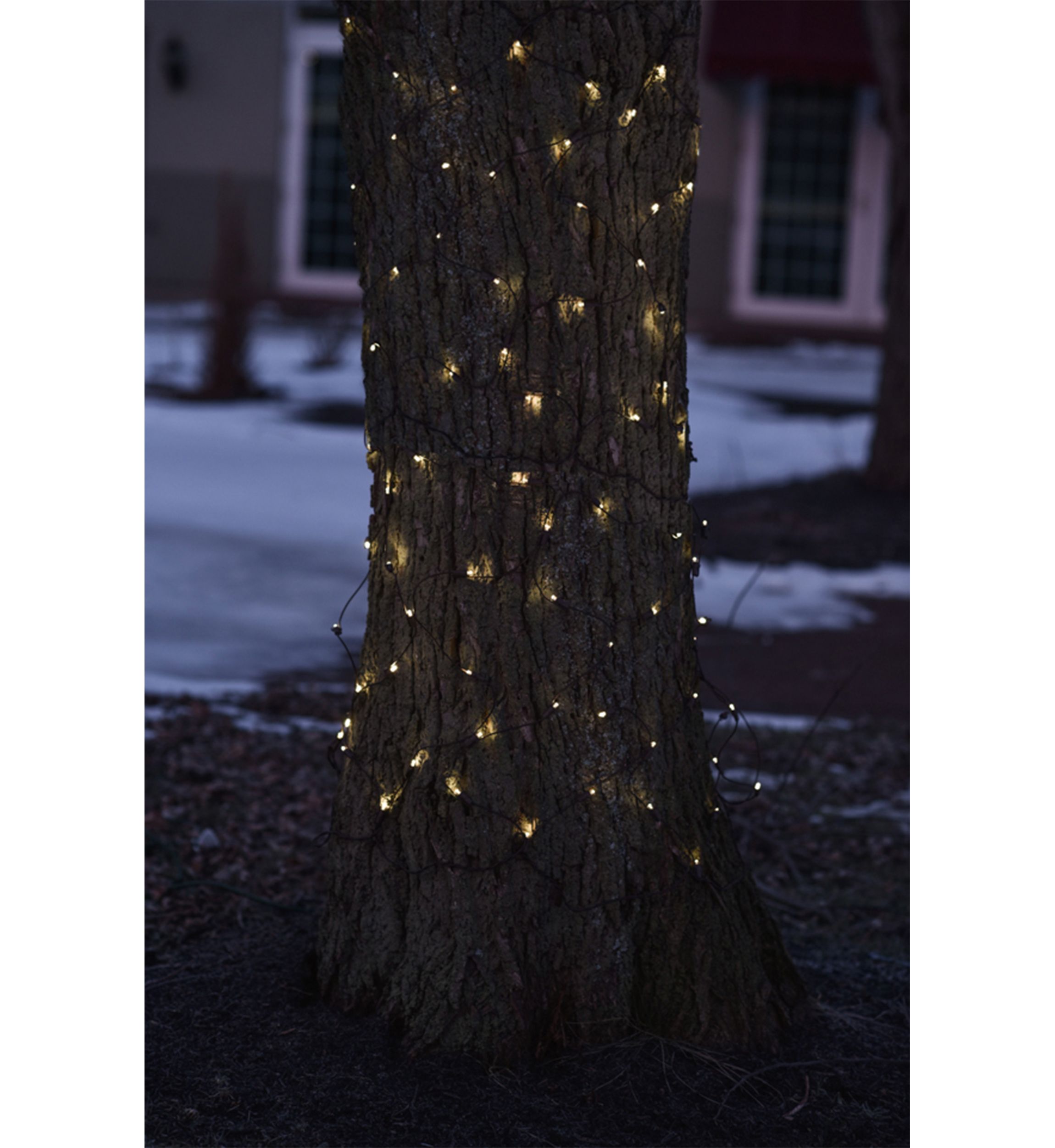 2 x 8 Clear LED Tree Trunk Wrap Net Style Christmas Lights - Brown Wire