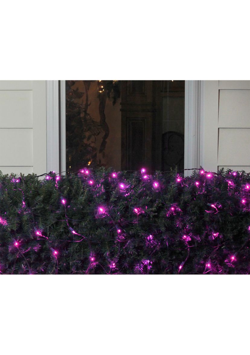 4 x 6 Raspberry Pink LED Wide Angle Net Style Christmas Lights - Green Wire