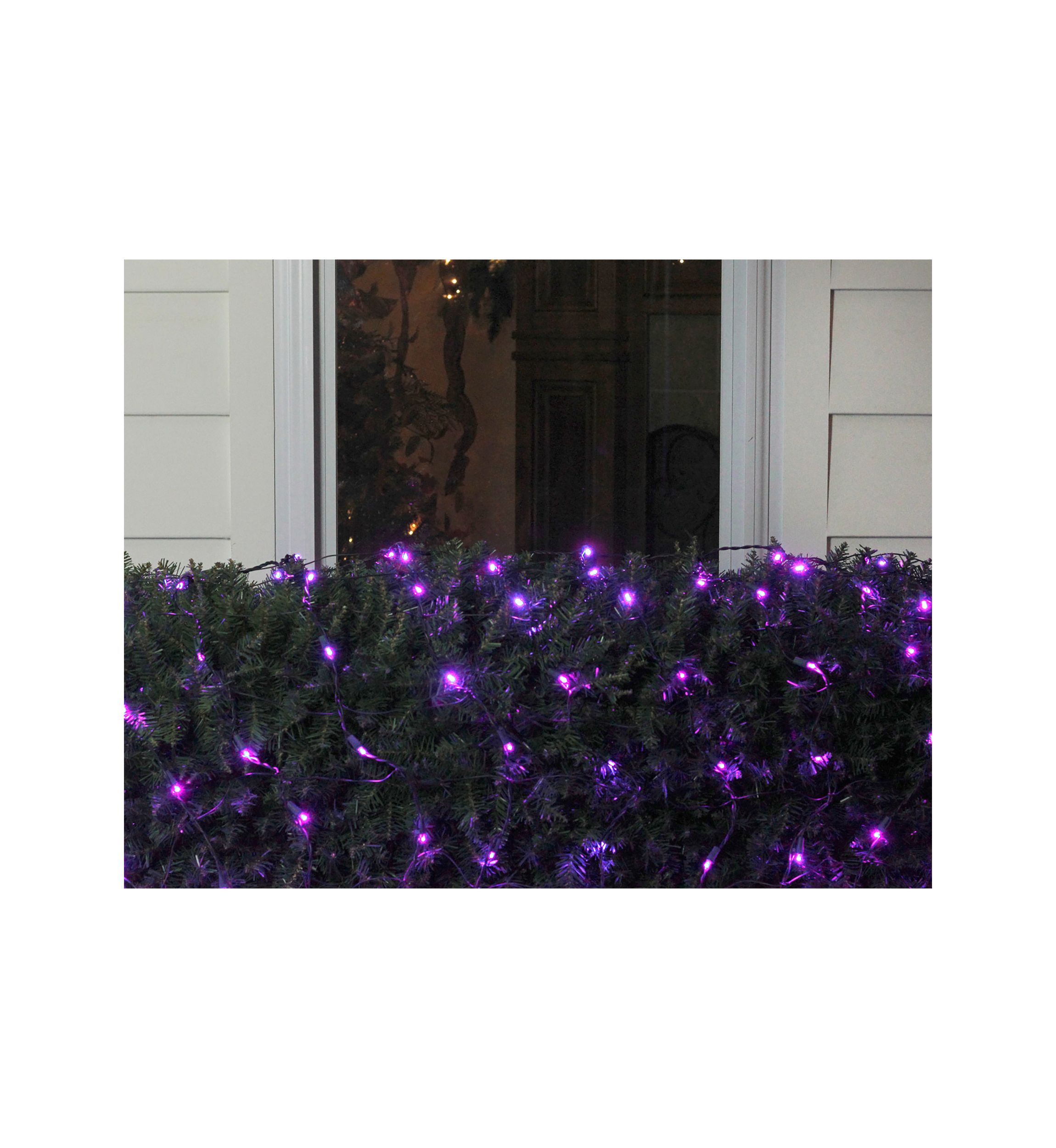 4 x 6 Purple LED Wide Angle Net Style Christmas Lights - Green Wire