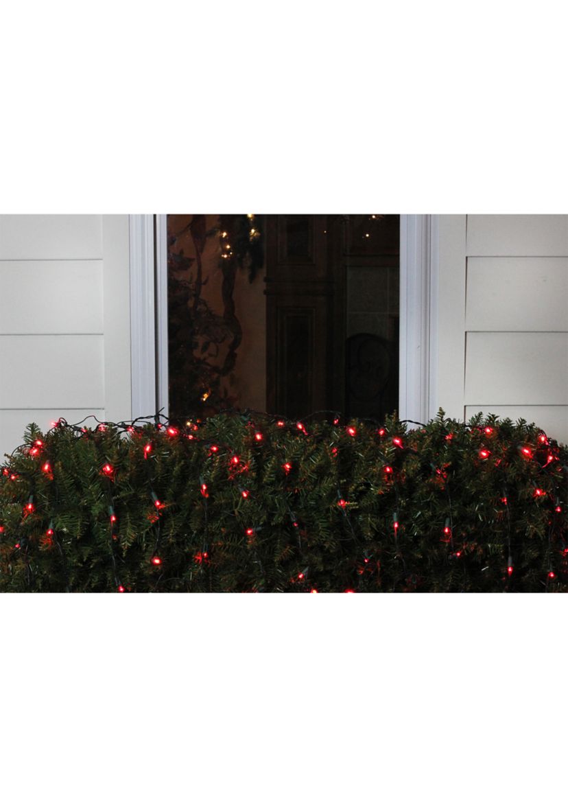 4 x 6 Red LED Wide Angle Net Style Christmas Lights - Green Wire