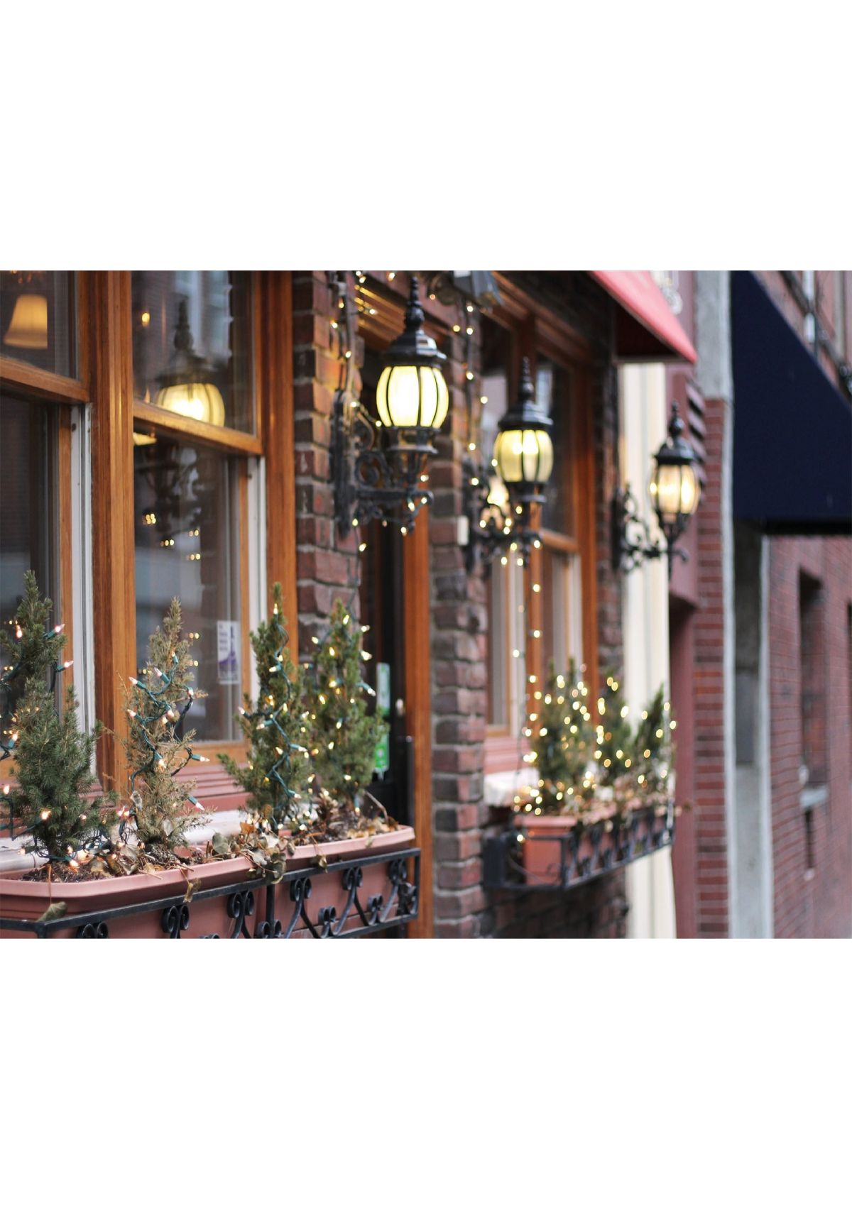 100-Count Warm White LED Mini Christmas Lights  33ft Green Wire