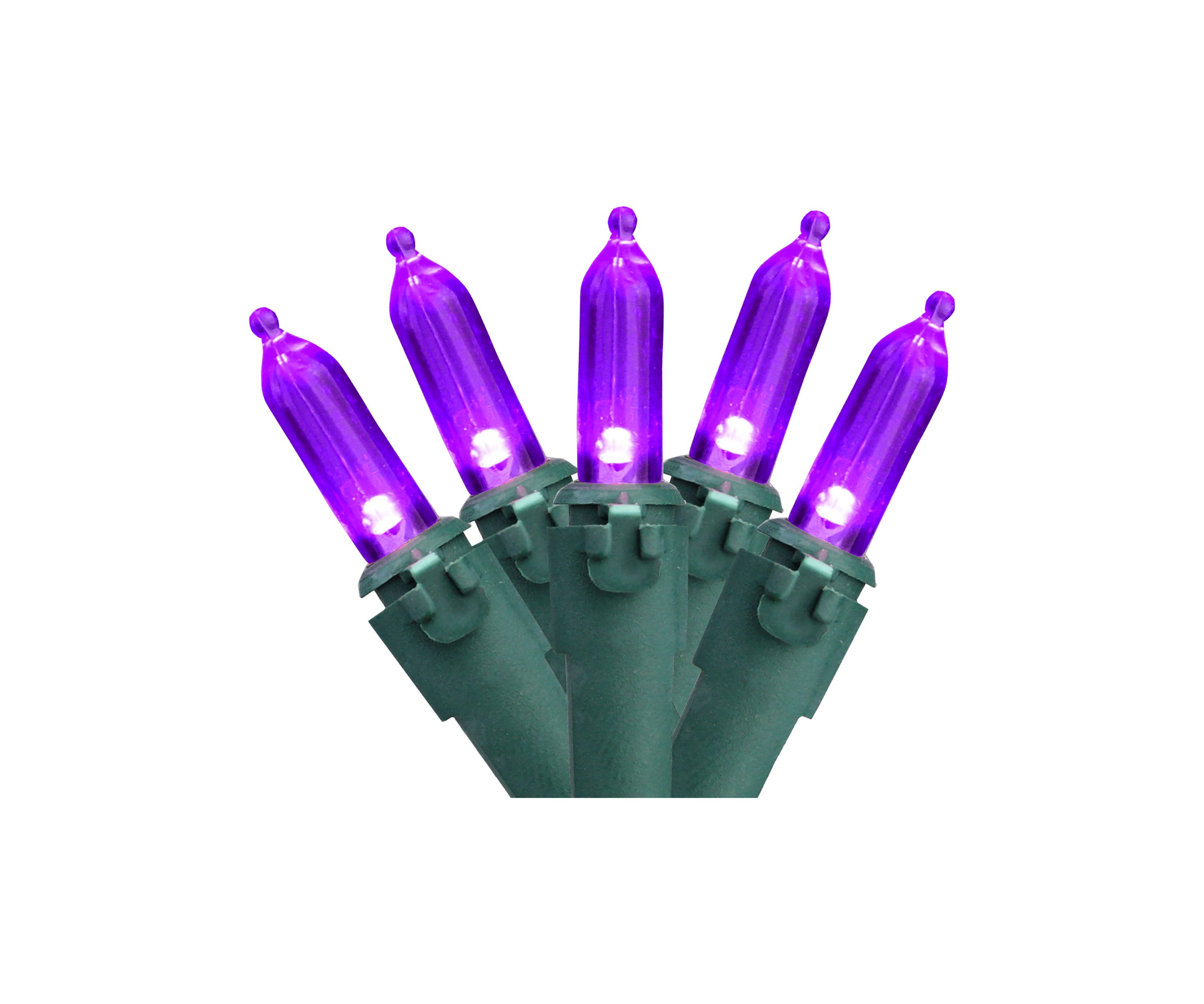 100-Count Purple LED Mini Christmas Lights  33ft Green Wire