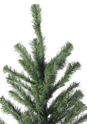 Northlight 2' Lighted Rockport White Pine Artificial Christmas Tree Green Lights