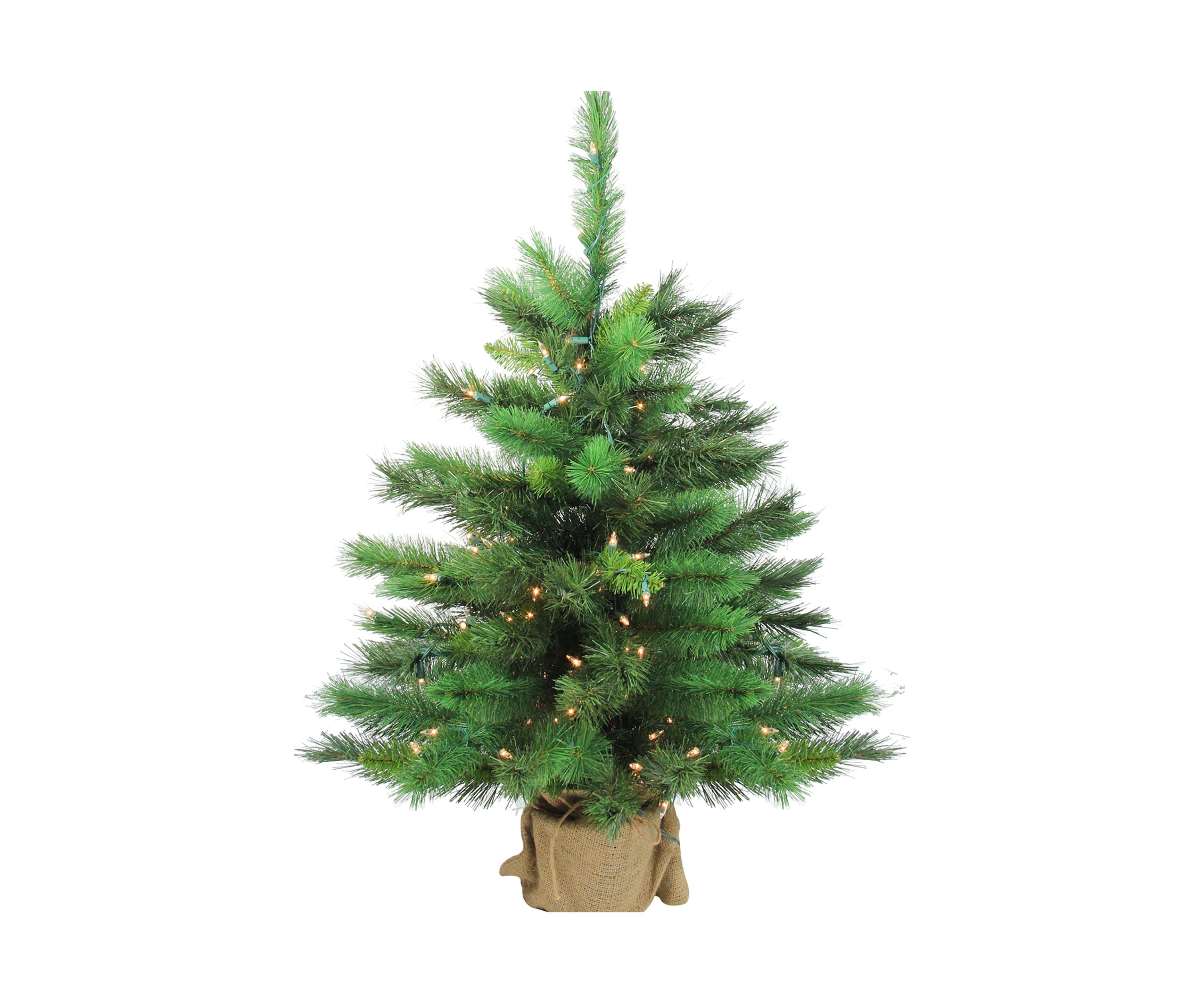 3 Pre-Lit Potted New Carolina Spruce Medium Artificial Christmas Tree - Clear Lights