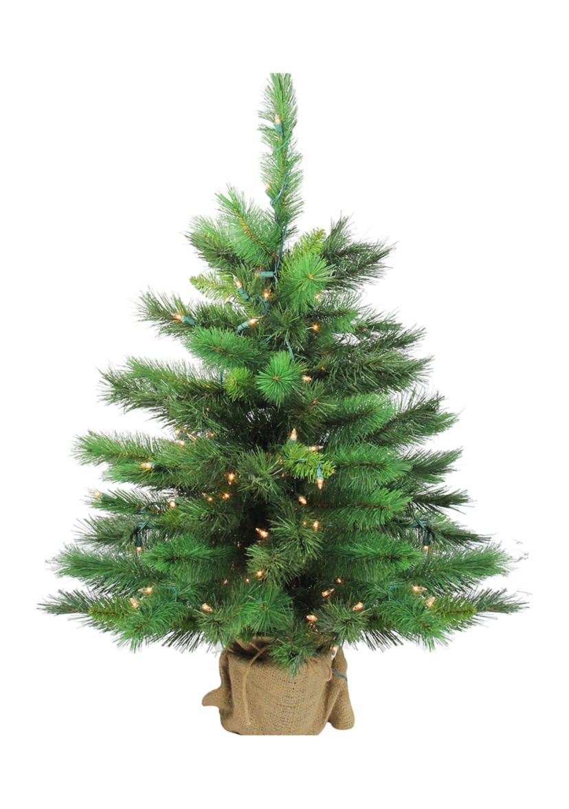 3 Pre-Lit Potted New Carolina Spruce Medium Artificial Christmas Tree - Clear Lights
