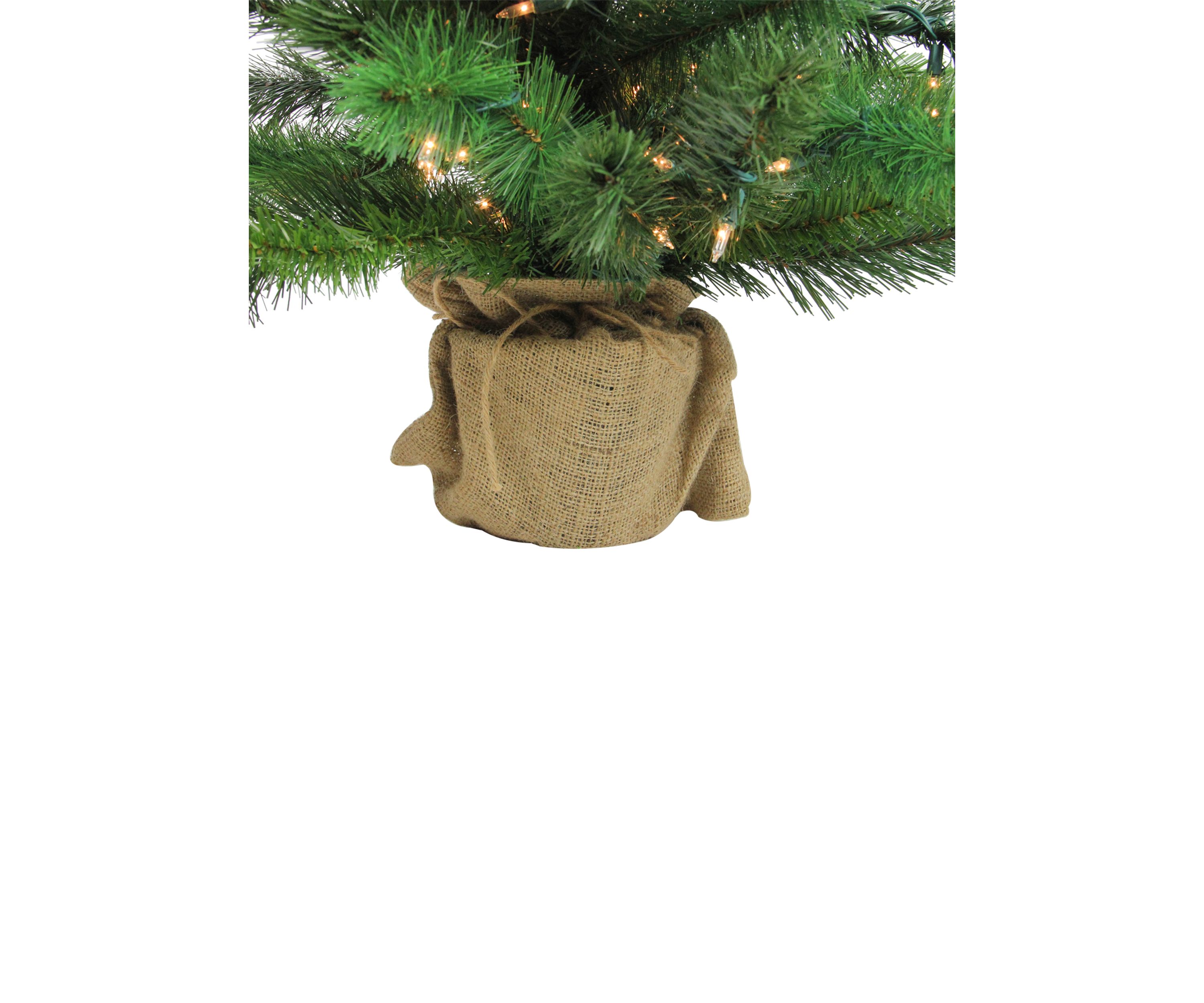 3 Pre-Lit Potted New Carolina Spruce Medium Artificial Christmas Tree - Clear Lights