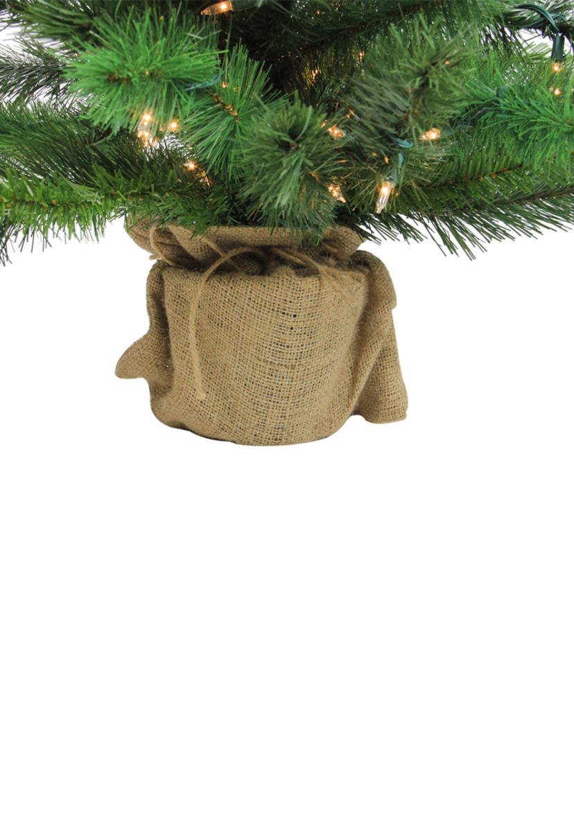 3 Pre-Lit Potted New Carolina Spruce Medium Artificial Christmas Tree - Clear Lights