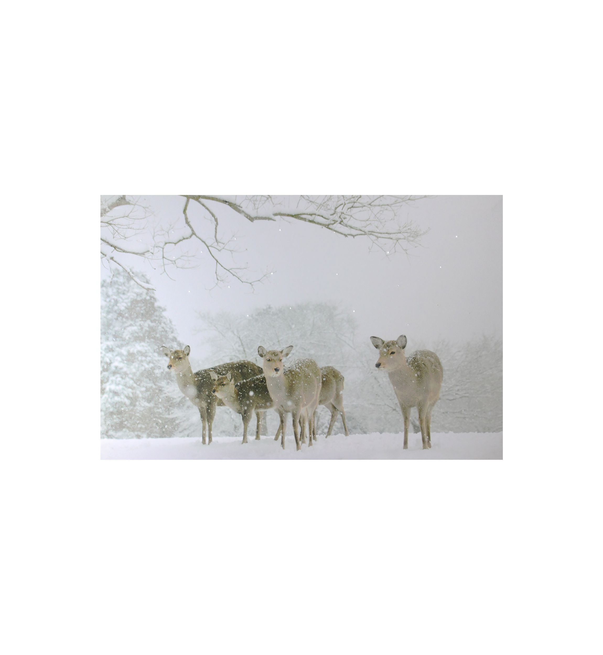 Small Fiber Optic Lighted Winter Woods with Deer Canvas Wall Art 12Inch x 11.75Inch
