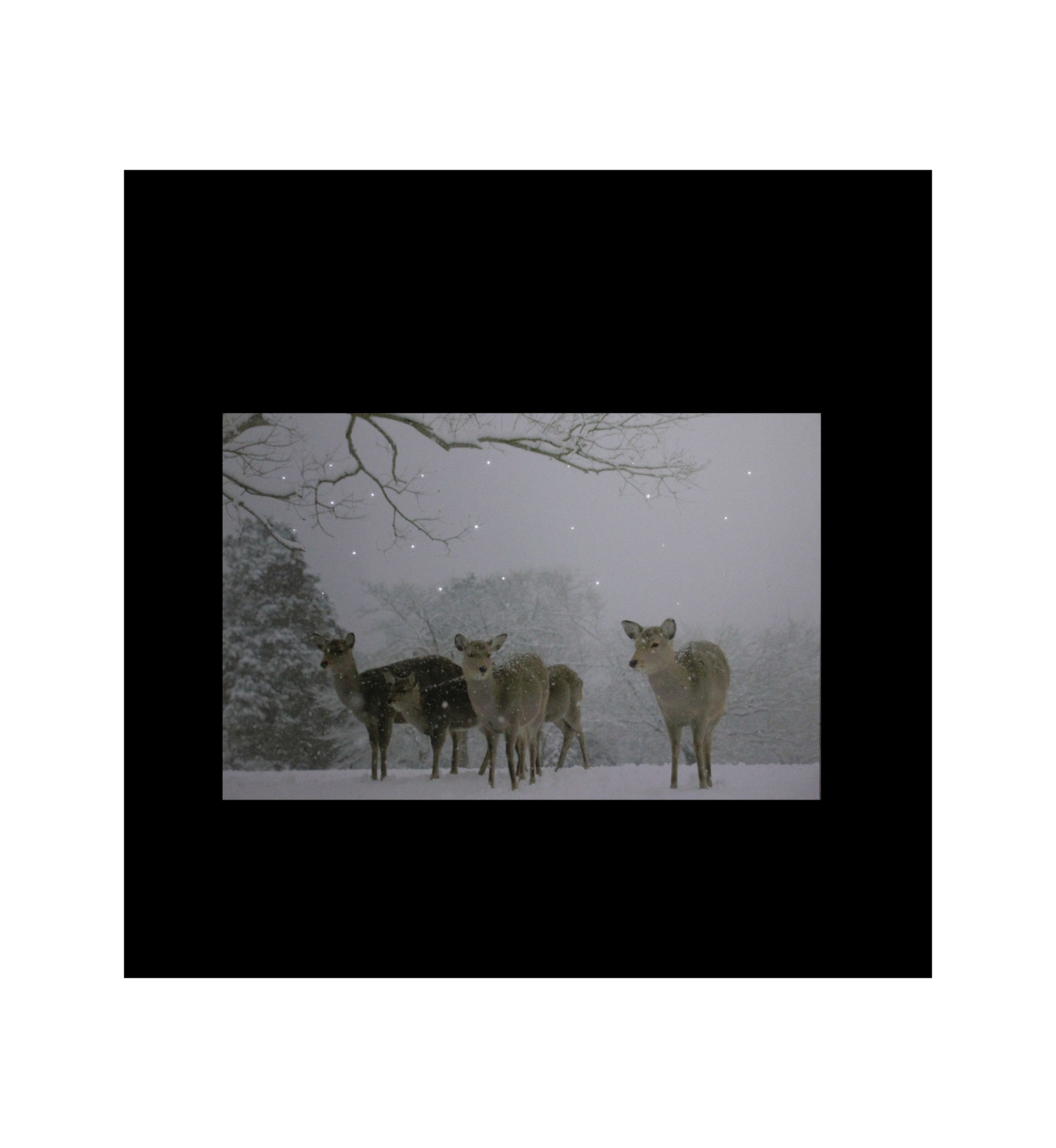 Small Fiber Optic Lighted Winter Woods with Deer Canvas Wall Art 12Inch x 11.75Inch