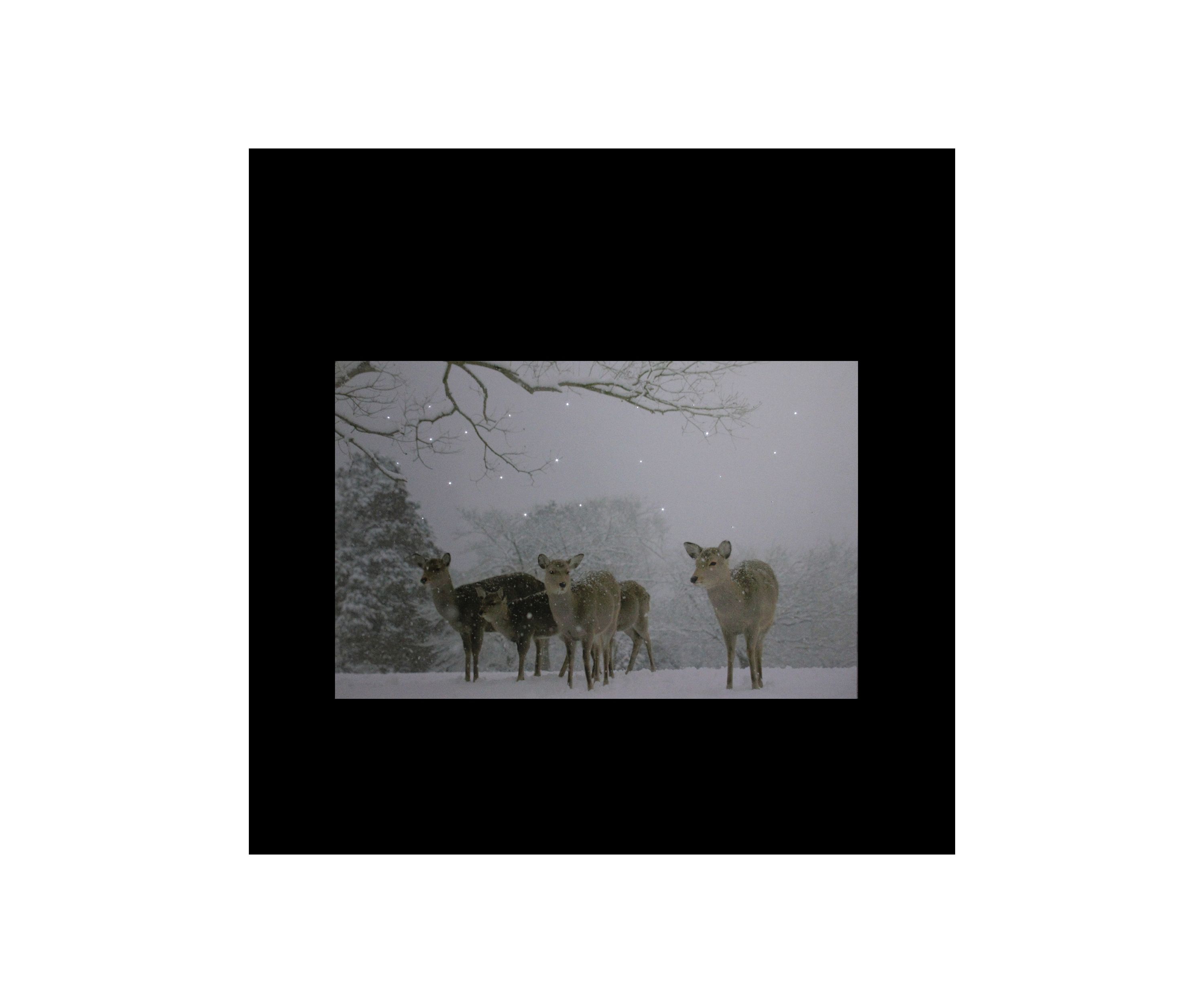 Small Fiber Optic Lighted Winter Woods with Deer Canvas Wall Art 12Inch x 11.75Inch
