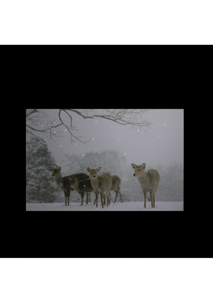 Small Fiber Optic Lighted Winter Woods with Deer Canvas Wall Art 12Inch x 11.75Inch