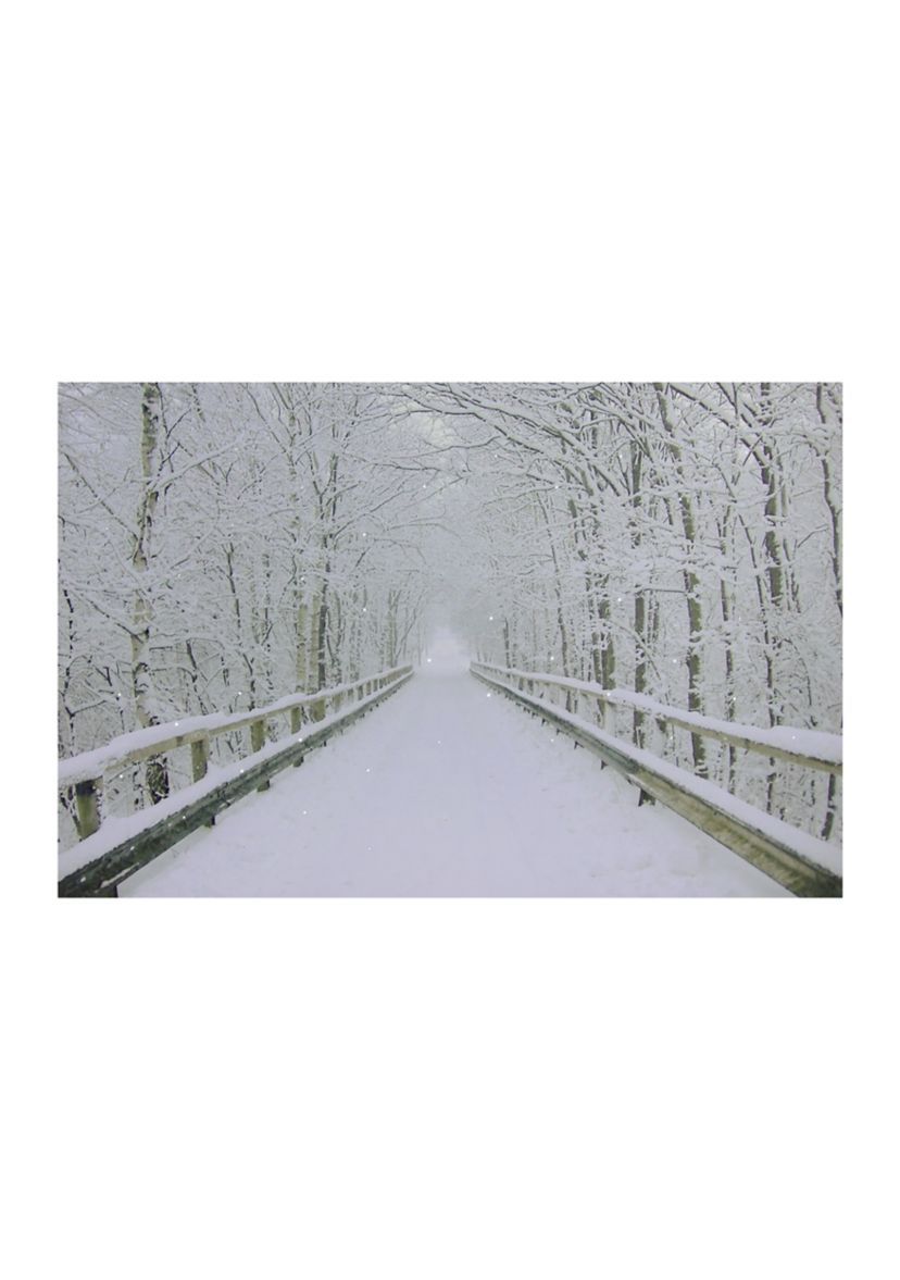Small  Fiber Optic Lighted Winter Wooden Bridge Canvas Wall Art 12Inch x 15.75Inch
