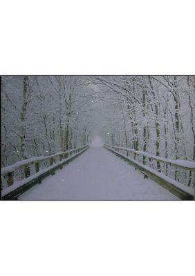 Small  Fiber Optic Lighted Winter Wooden Bridge Canvas Wall Art 12Inch x 15.75Inch