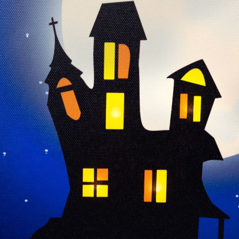 Fiber Optic and LED Lighted Witch in the Moon Halloween Canvas Wall Art 12inch x 15.75inch