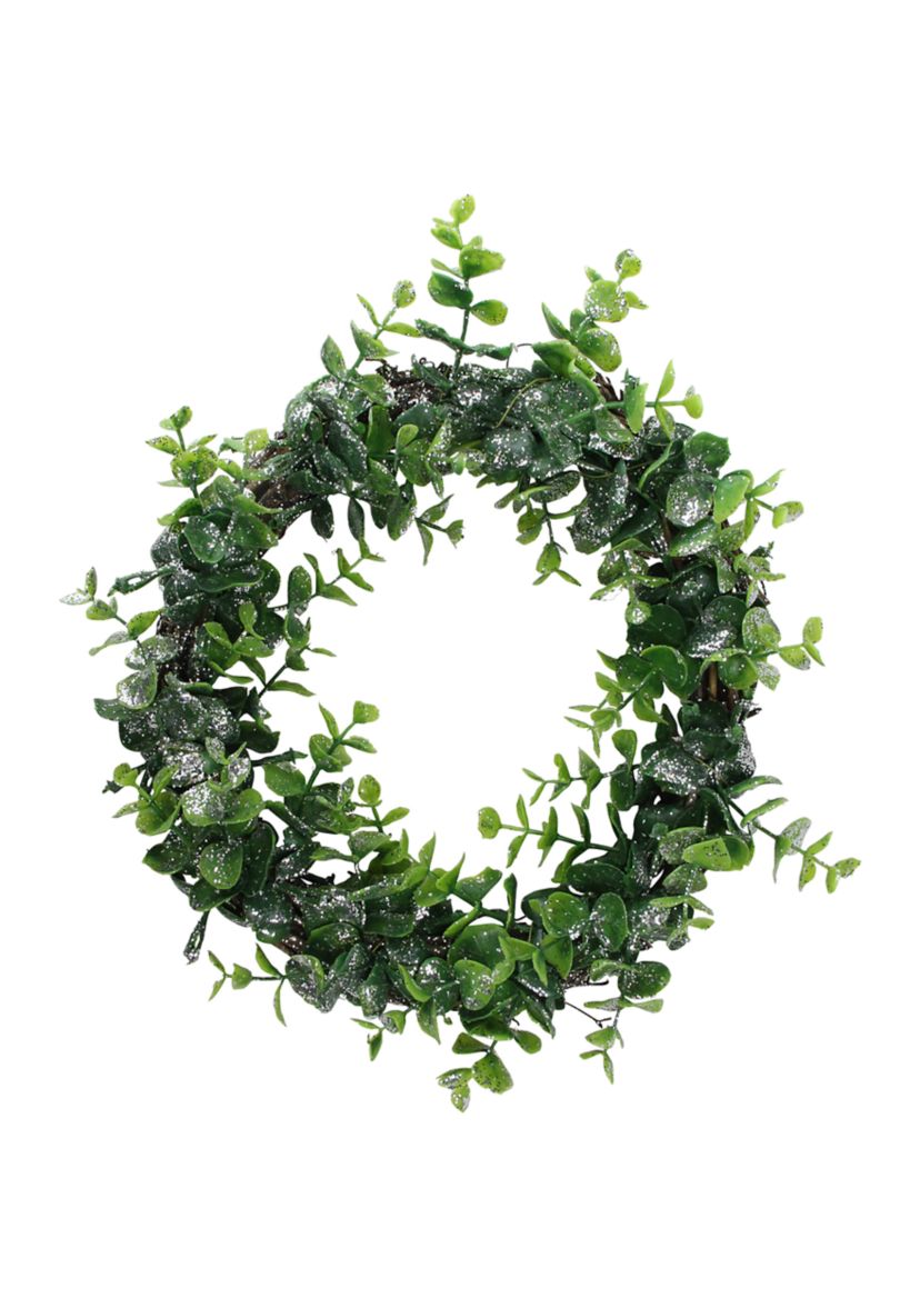 Sparkling Silver and Green Grass Decorative Artificial Christmas Wreath - 8.75-Inch  Unlit
