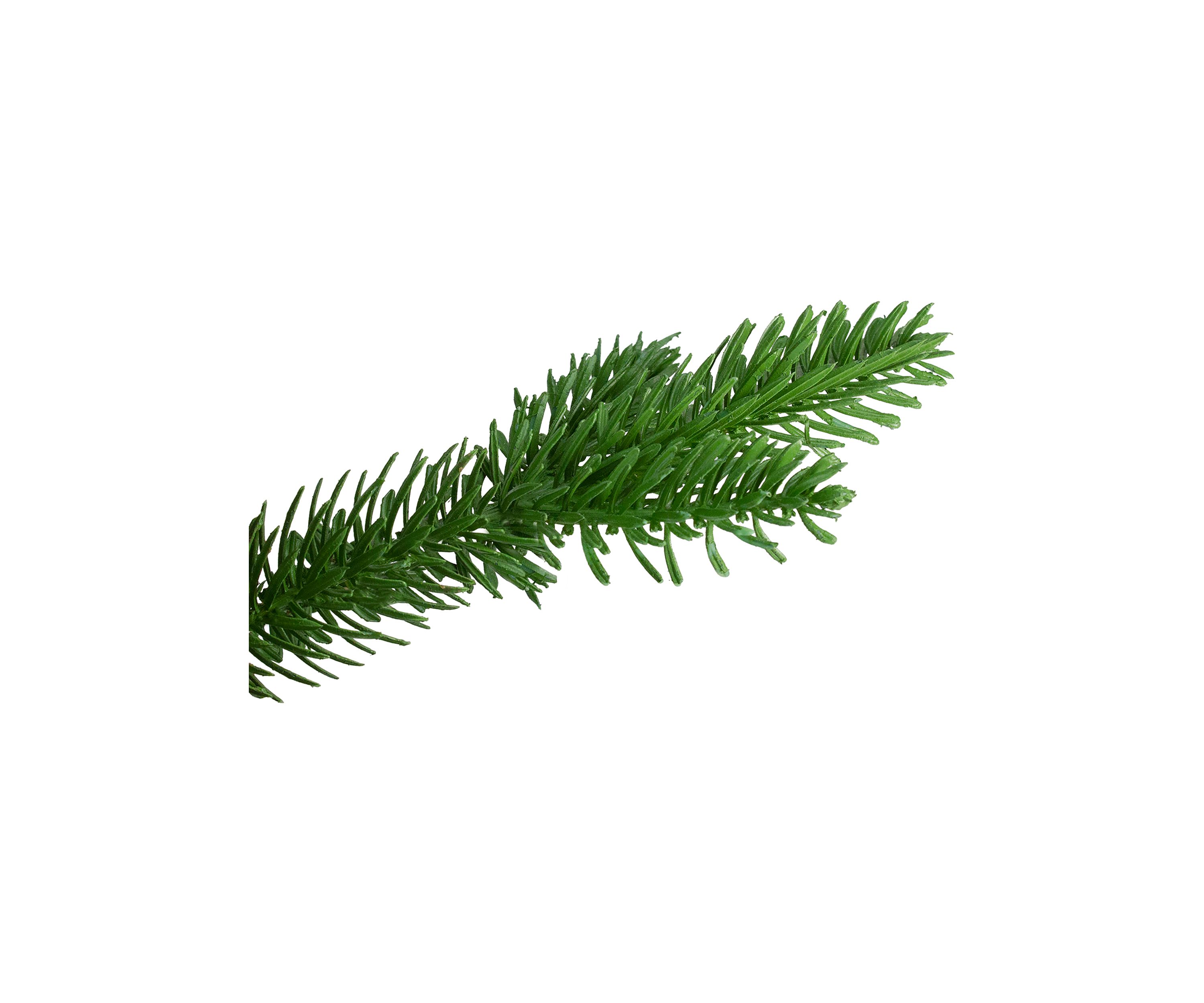 1.3 Potted Pine Medium Artificial Tabletop Christmas Tree - Unlit