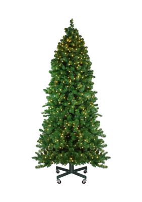 Northlight 7.5' Pre-Lit Slim Olympia Pine Artificial Christmas Tree - Warm White Lights -  760182132628711