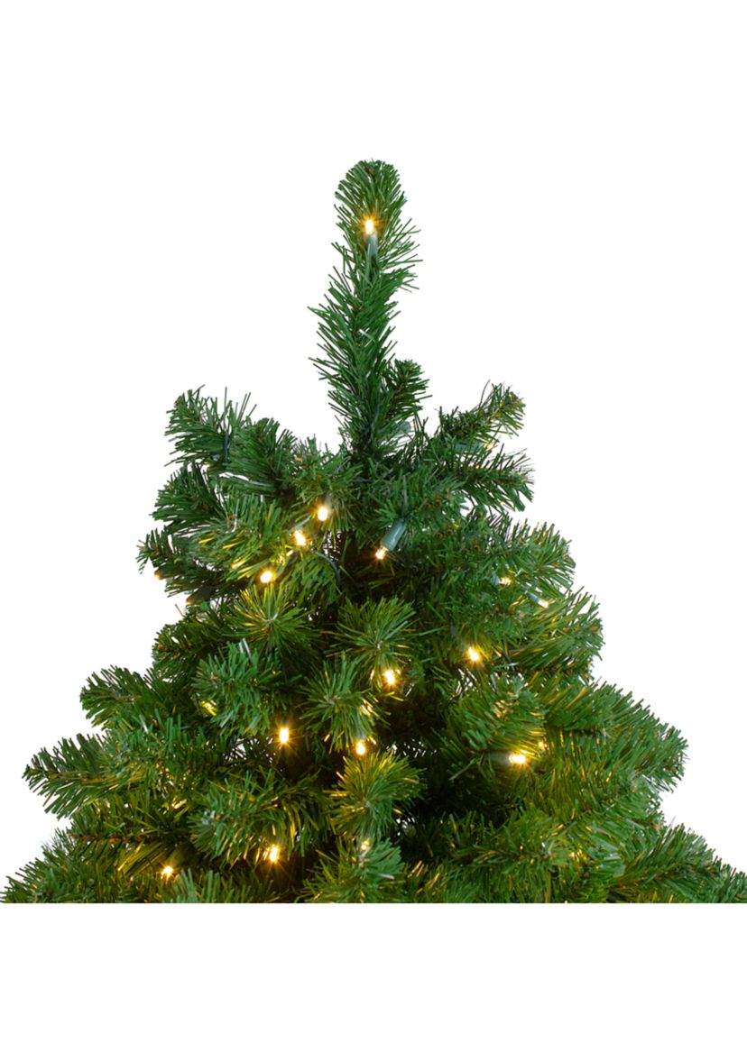 7.5 Pre-Lit Slim Olympia Pine Artificial Christmas Tree - Warm White Lights