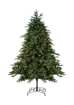 Northlight 7.5' Pre-Lit Full Aurora Spruce Artificial Christmas Tree - Clear Lights, Green -  0191296032087