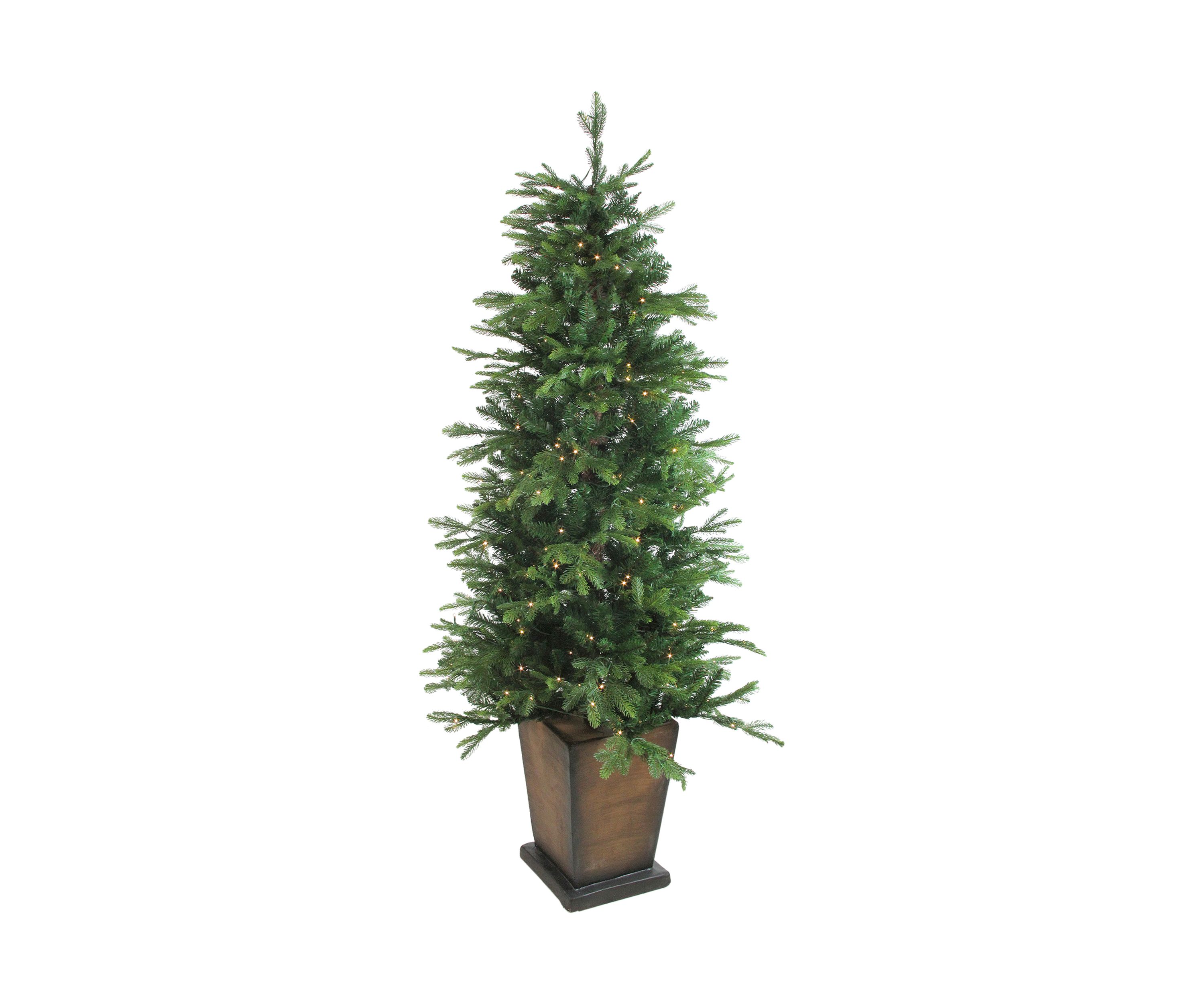 6 Pre-Lit Potted Oregon Noble Fir Slim Artificial Christmas Tree - Clear LED Lights