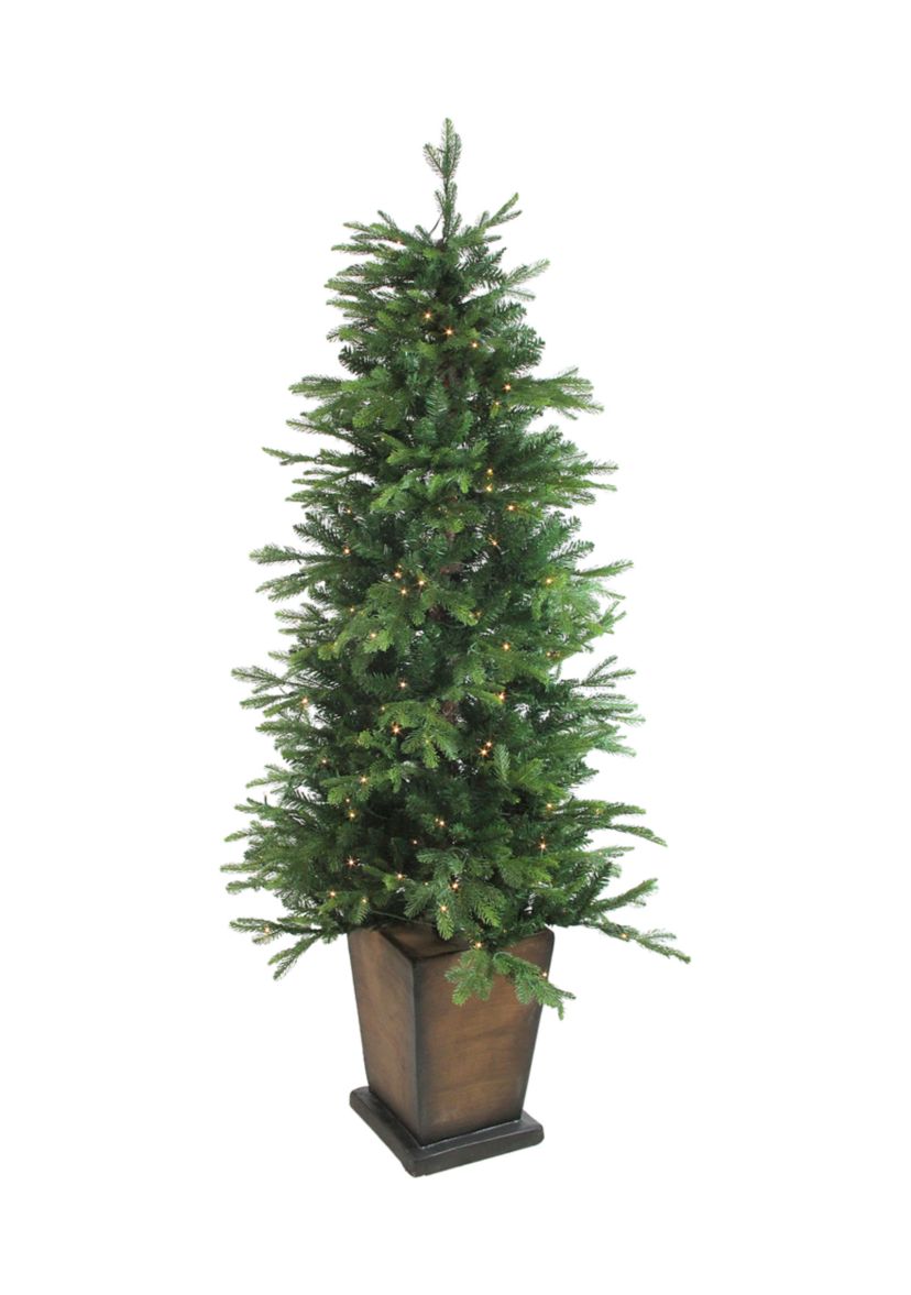 6 Pre-Lit Potted Oregon Noble Fir Slim Artificial Christmas Tree - Clear LED Lights