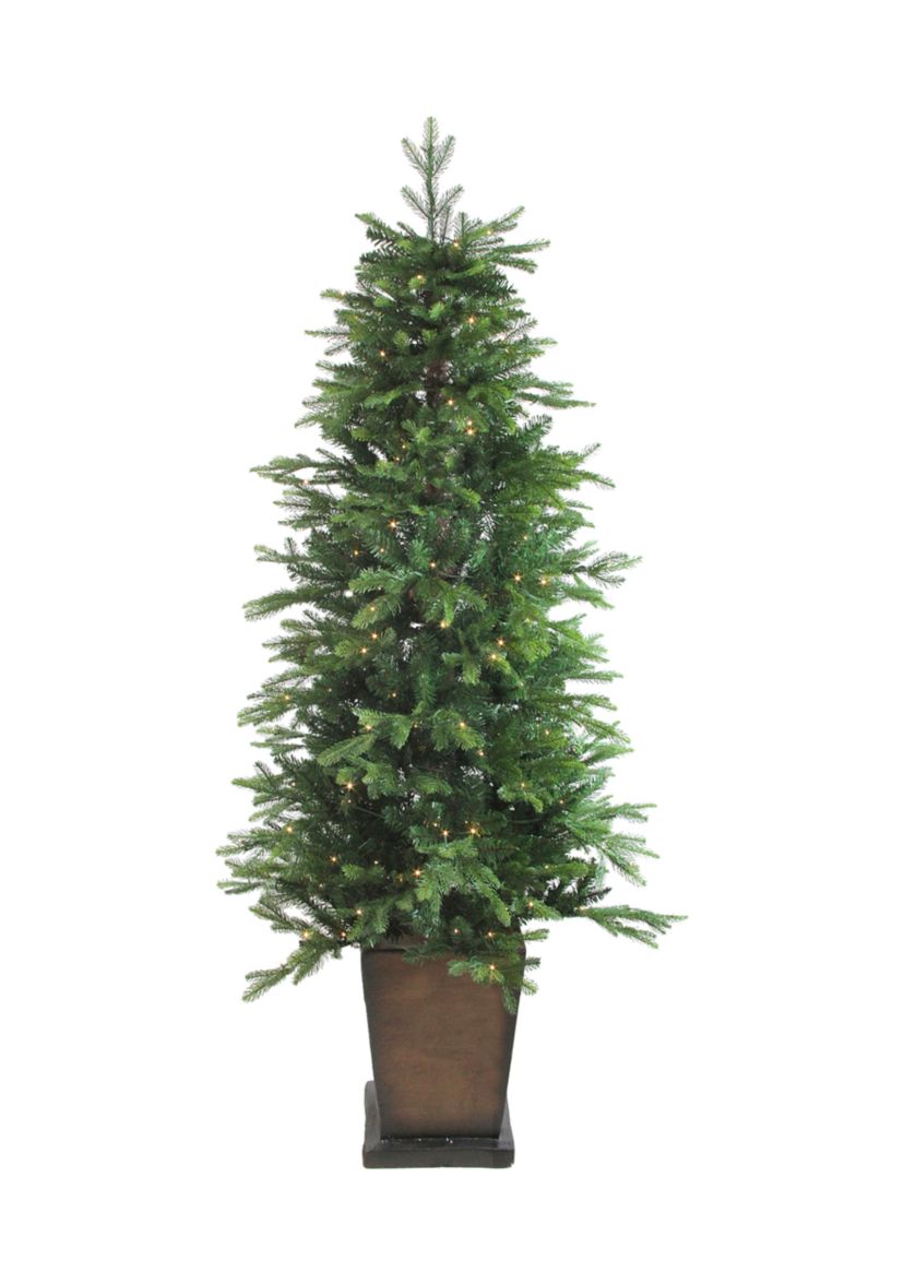 6 Pre-Lit Potted Oregon Noble Fir Slim Artificial Christmas Tree - Clear LED Lights