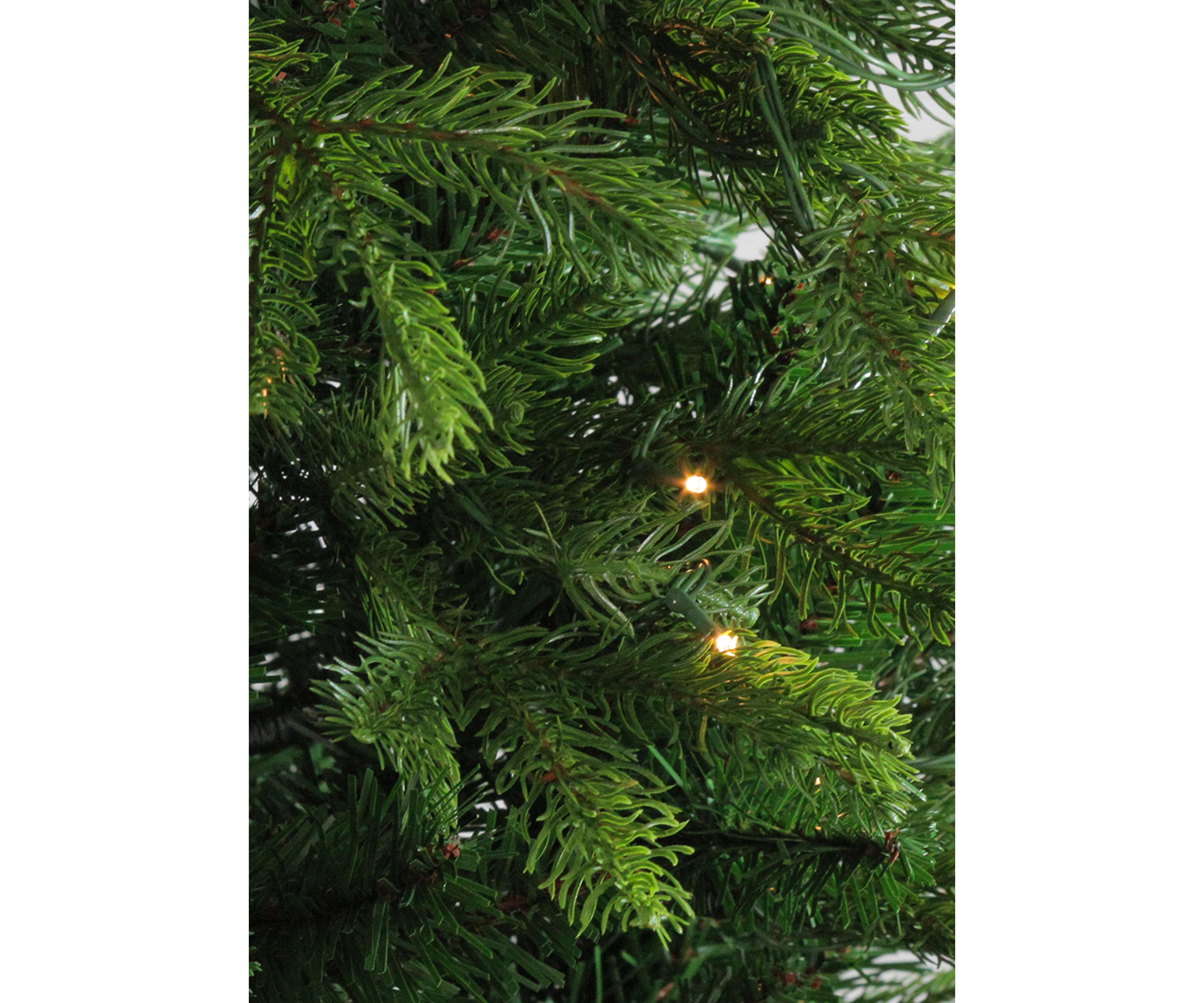 6 Pre-Lit Potted Oregon Noble Fir Slim Artificial Christmas Tree - Clear LED Lights