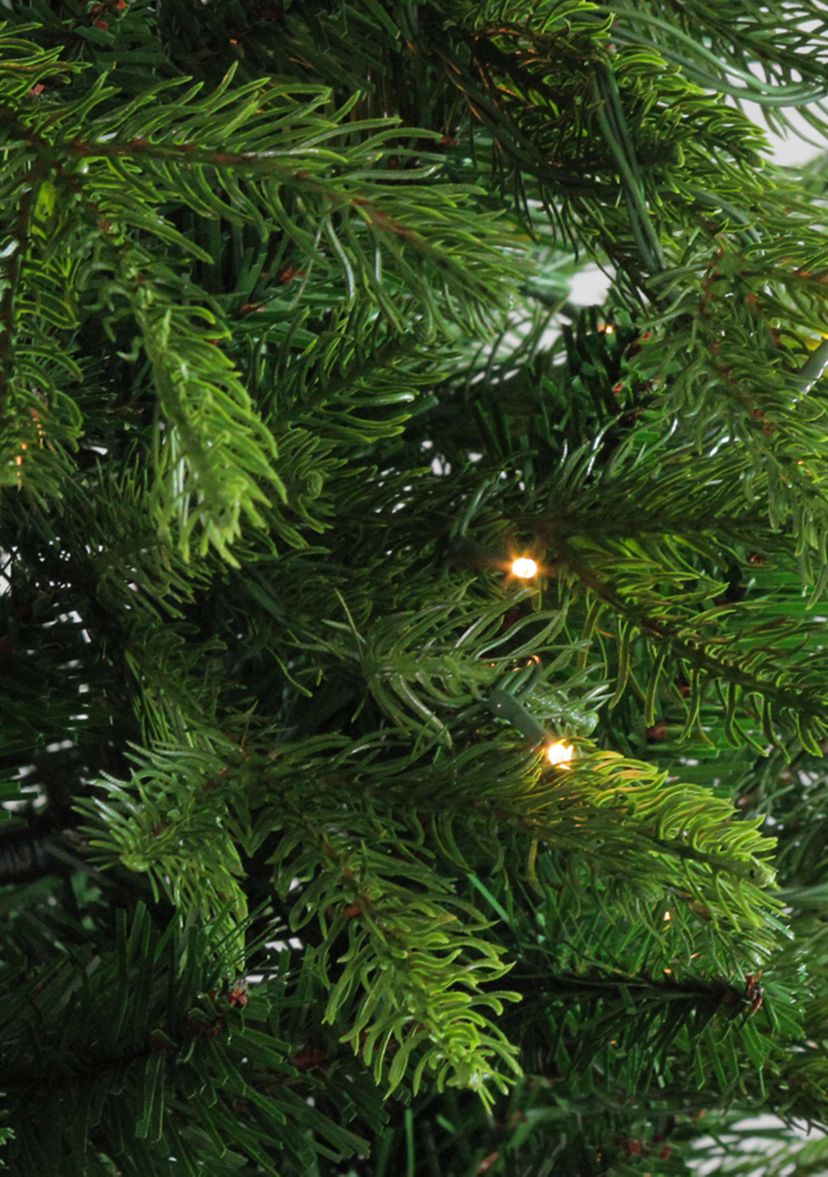 6 Pre-Lit Potted Oregon Noble Fir Slim Artificial Christmas Tree - Clear LED Lights