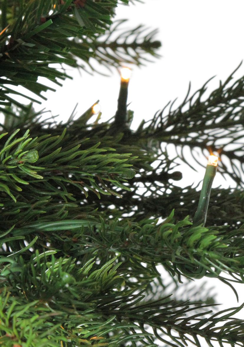 6 Pre-Lit Potted Oregon Noble Fir Slim Artificial Christmas Tree - Clear LED Lights