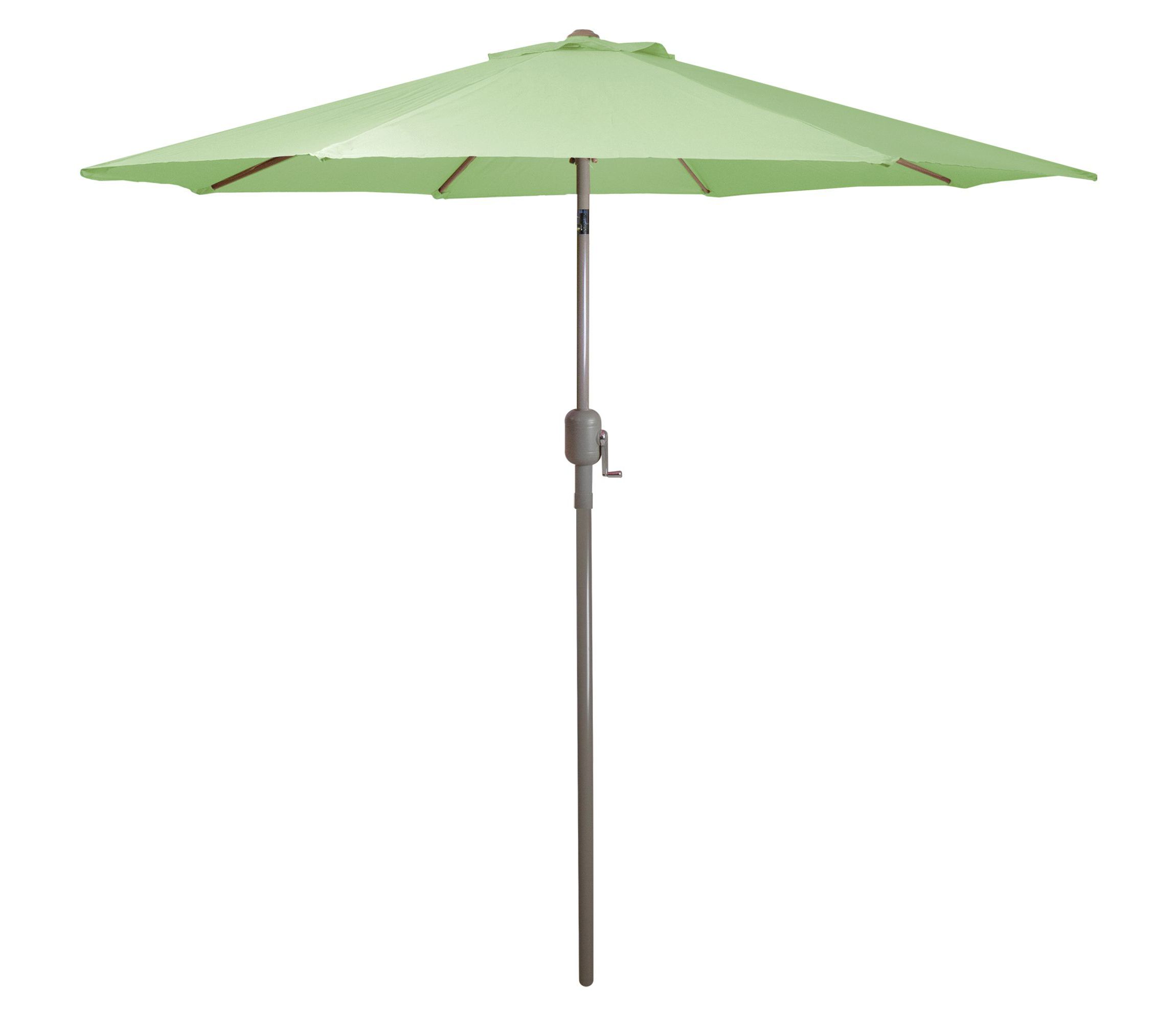 9ft Outdoor Patio Market Umbrella with Hand Crank and Tilt  Sage Green