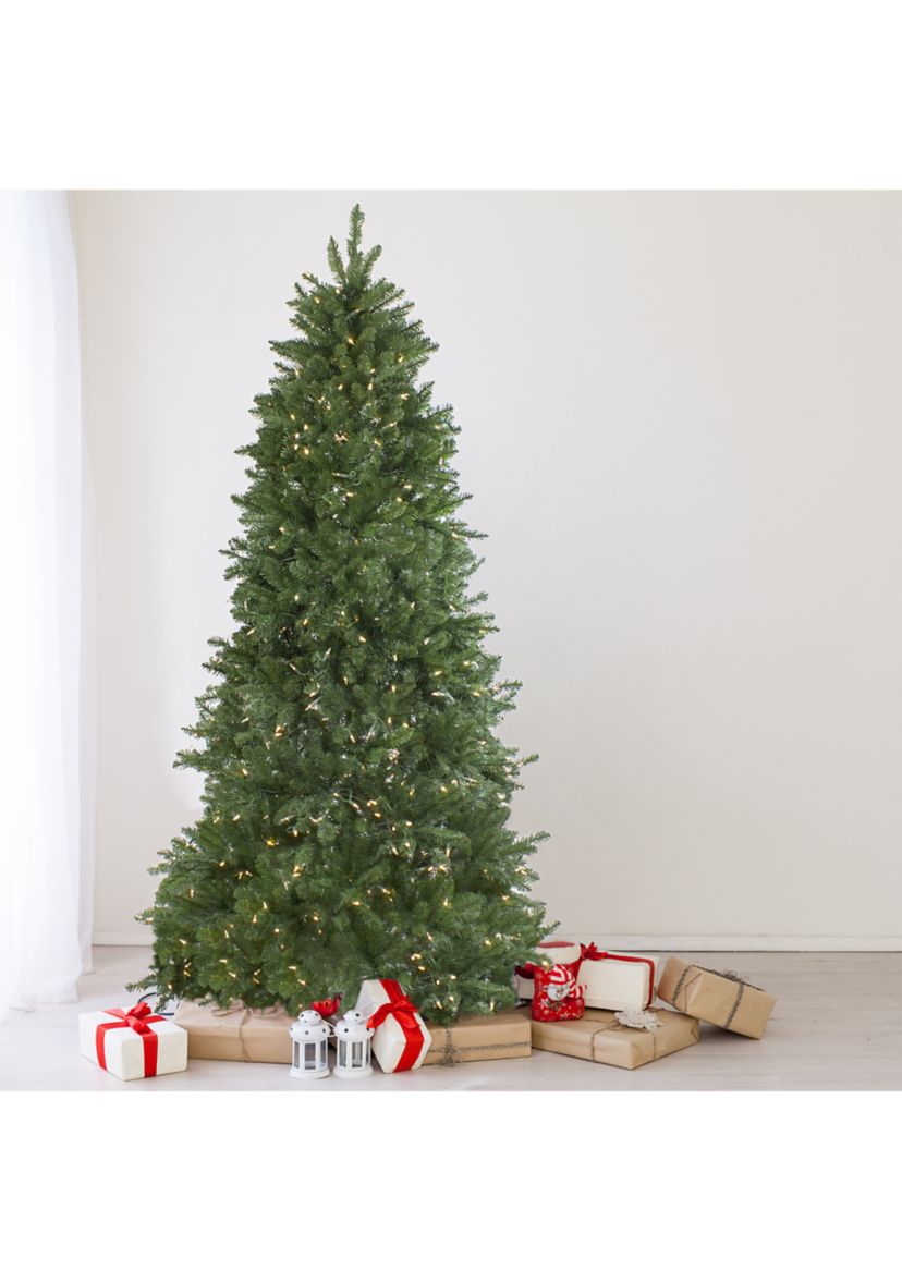 12 Pre-Lit Instant Connect LED Neola Fraser Fir Artificial Christmas Tree - Multicolor Lights