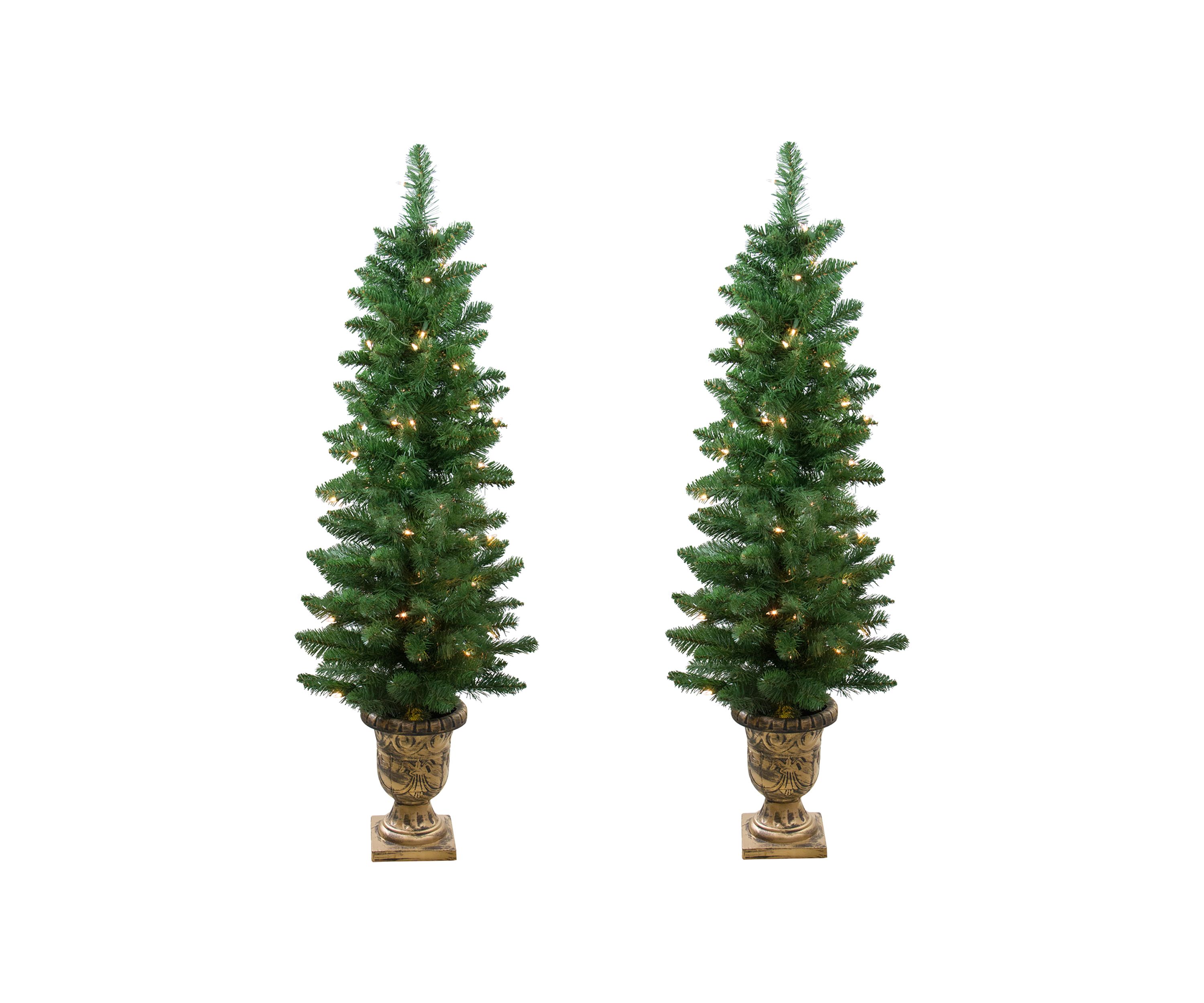 Set of 2 Pre-Lit Whitmire Pine Potted Artificial Christmas Trees 4 - Clear Lights