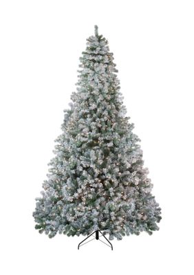 Northlight 9' Pre-Lit Flocked Winema Pine Artificial Christmas Tree - Clear Lights, Green -  0191296150651