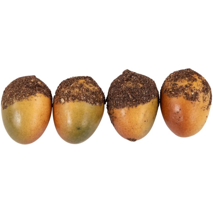 Fall Harvest Artificial Pumpkin  Gourd  Acorn and Leaf Decoration Set - 11-Piece