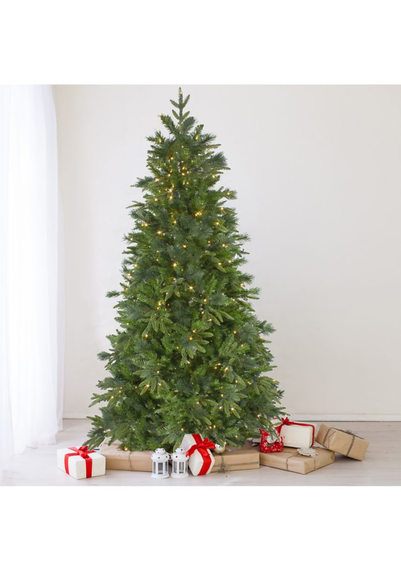 6.5 Pre-Lit Rosemary Emerald Angel Pine Artificial Christmas Tree - Warm White LED Lights