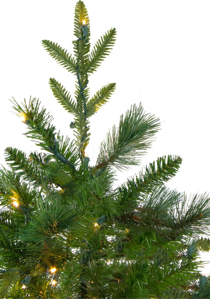 6.5 Pre-Lit Rosemary Emerald Angel Pine Artificial Christmas Tree - Warm White LED Lights