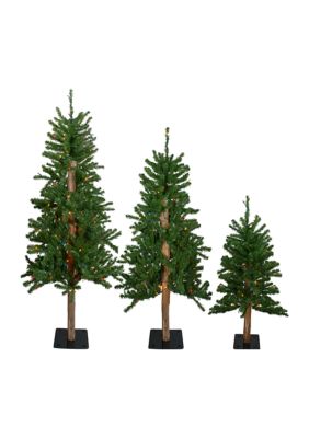 Set of 3 Pre-Lit Slim Alpine Artificial Christmas Trees 5' - Multicolor Lights