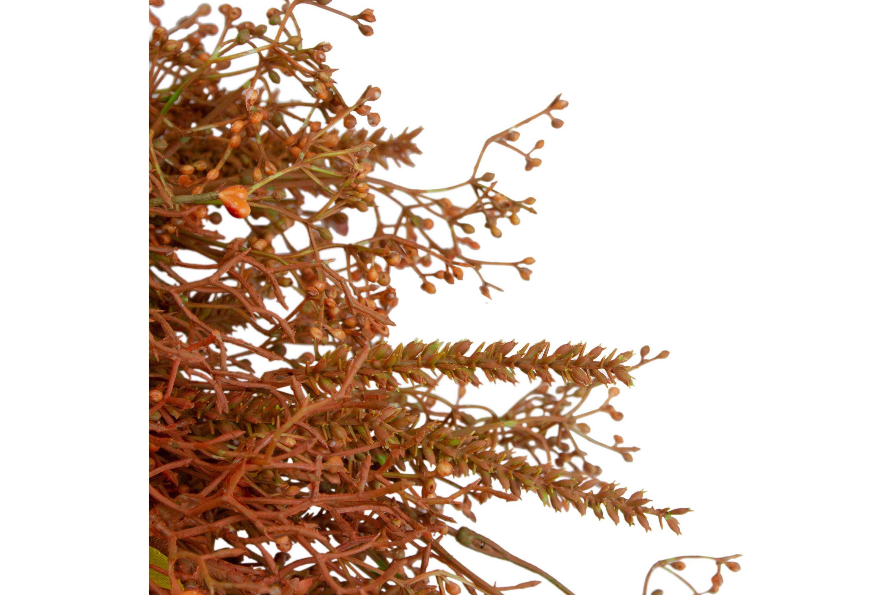 32" Brown Fall Grass Autumn Harvest Artificial Wreath - Unlit