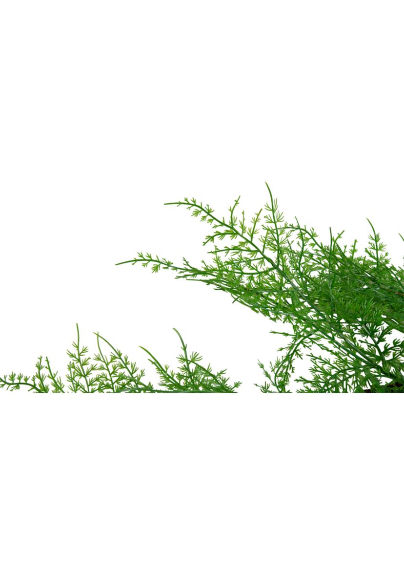 5 x 8Inch Green and Brown Cedar Artificial Christmas Garland - Unlit