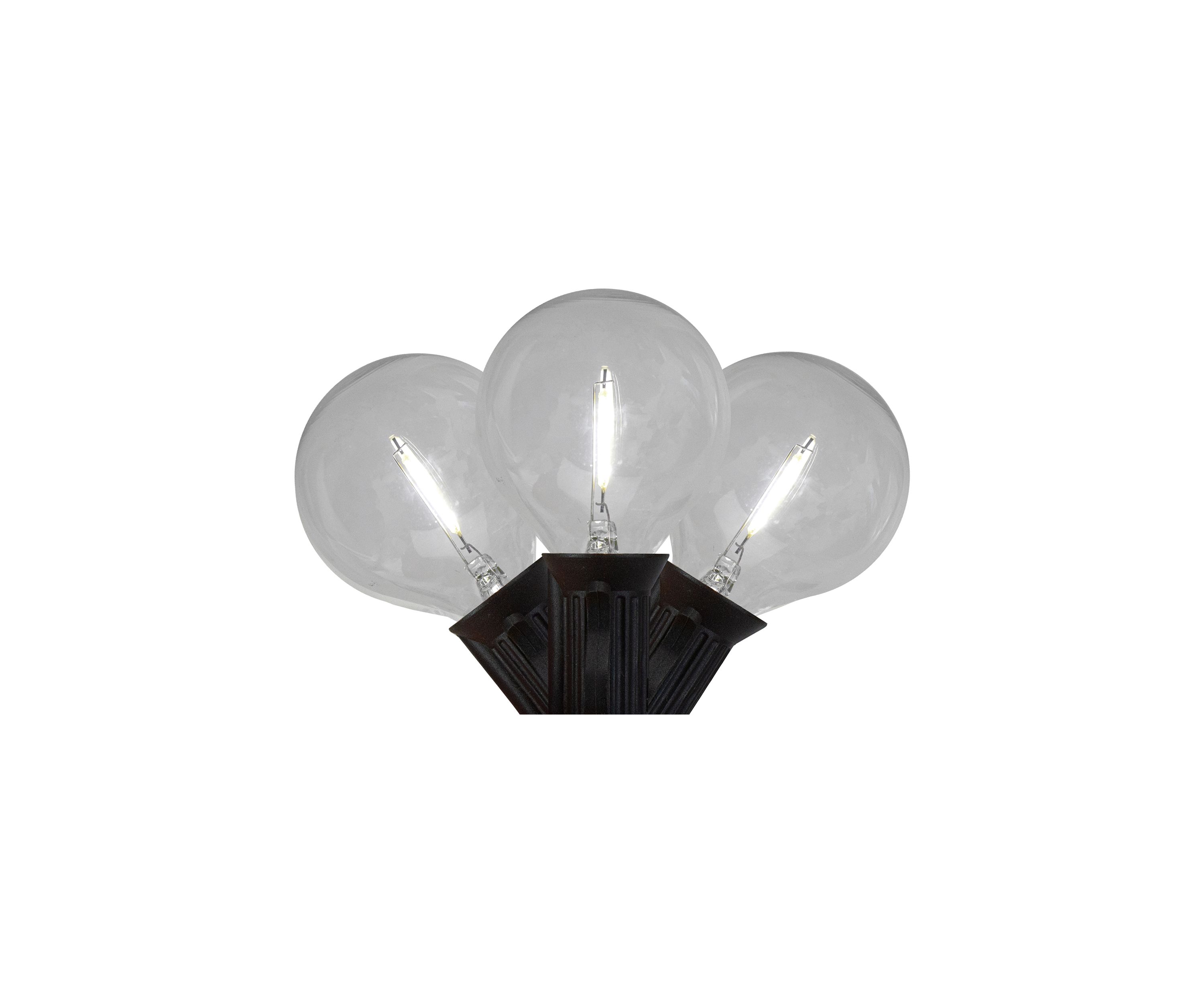 10ct Pure White LED G50 Globe Christmas Light Set  10ft Black Wire