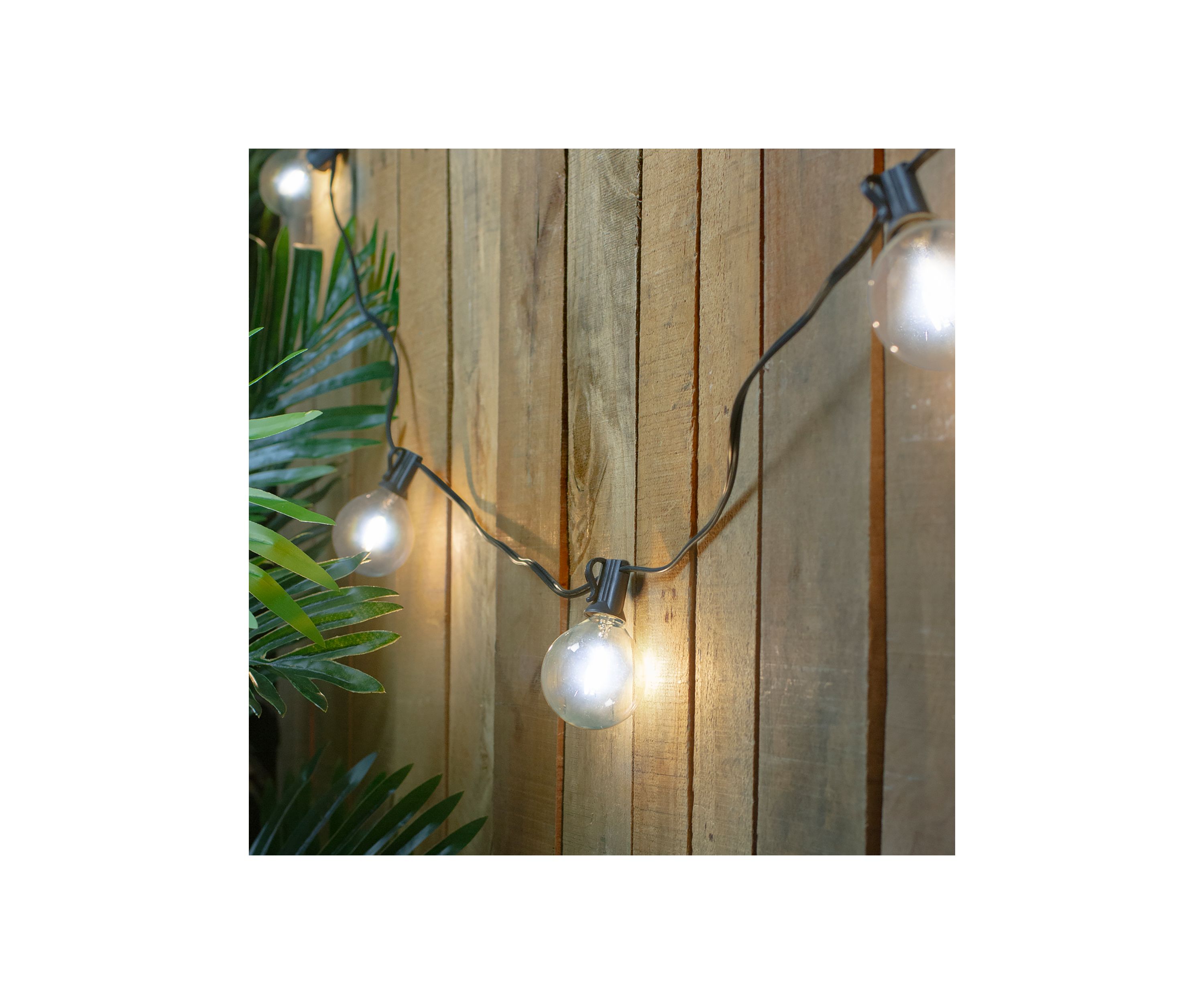 10ct Pure White LED G50 Globe Christmas Light Set  10ft Black Wire