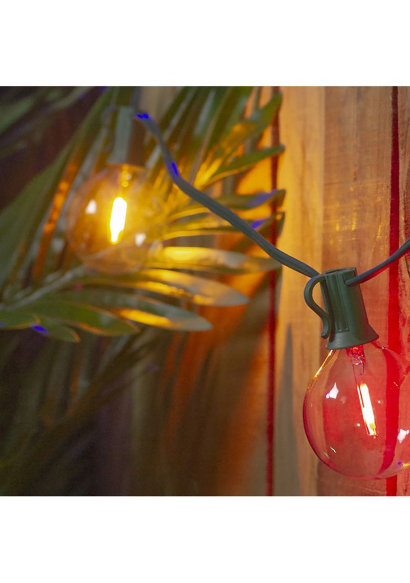 10ct Multi Color LED G50 Globe Christmas Light Set  10ft Green Wire