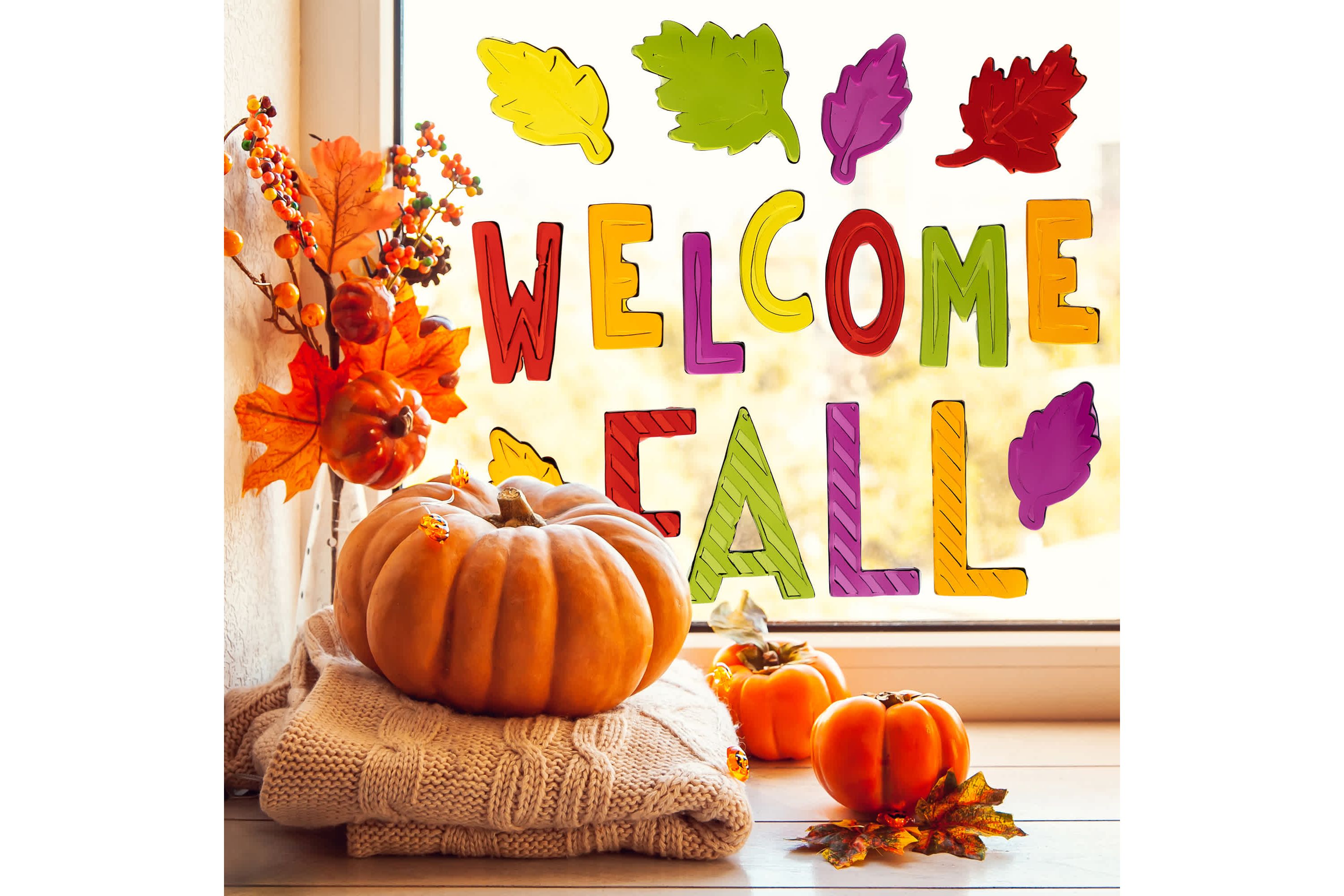 17-Piece Welcome Fall Thanksgiving Gel Window Clings