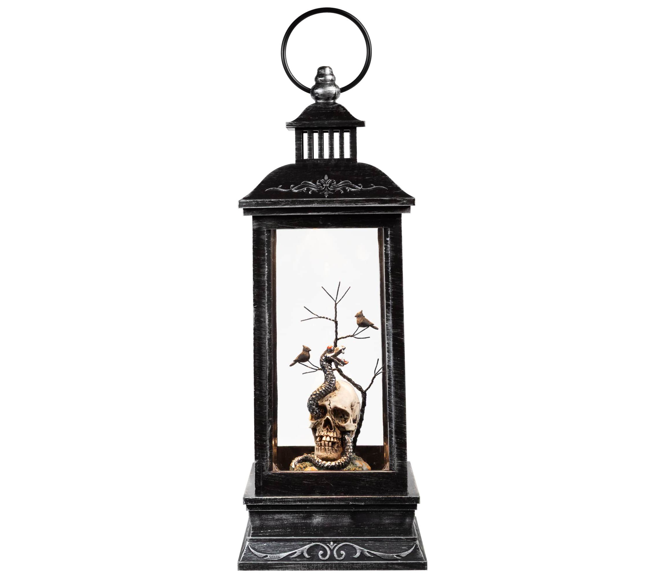 LED Lighted Skull Head  Snake and Crows Halloween Lantern - 11" - Warm White Lights