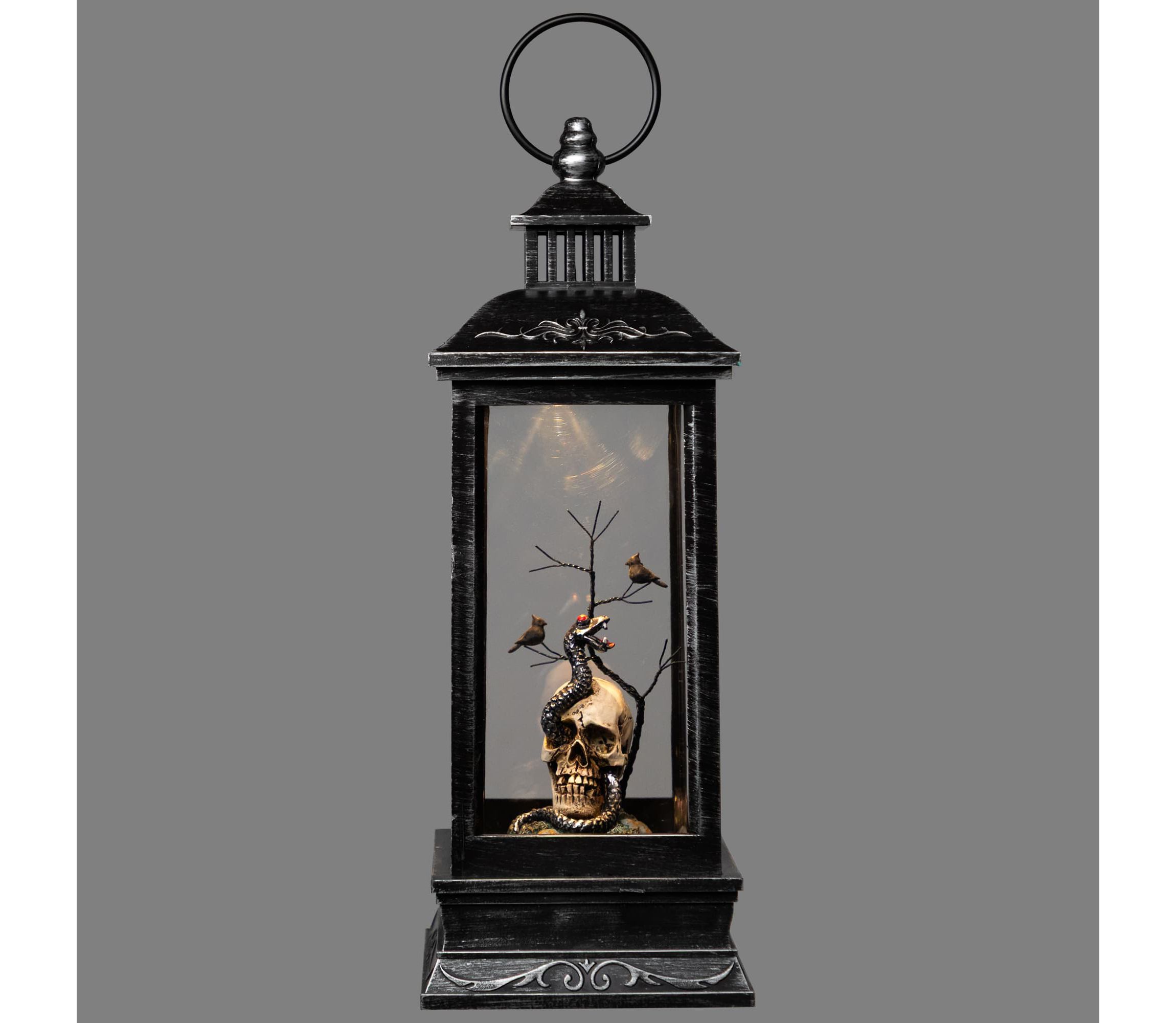LED Lighted Skull Head  Snake and Crows Halloween Lantern - 11" - Warm White Lights