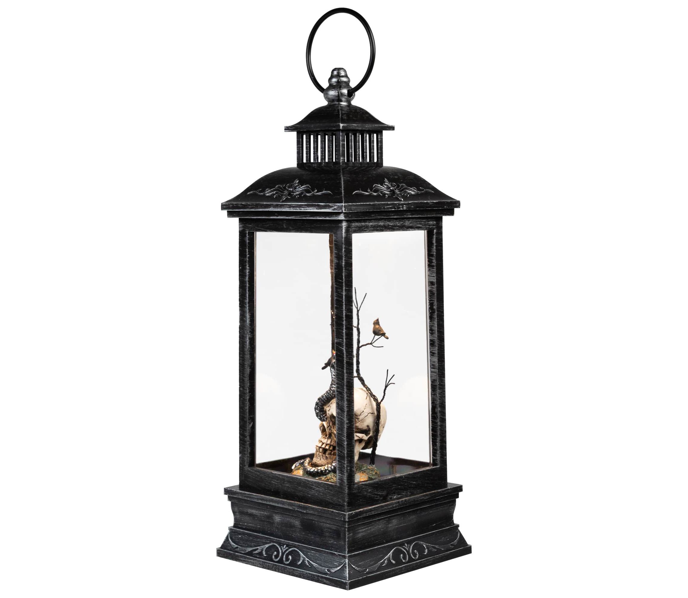 LED Lighted Skull Head  Snake and Crows Halloween Lantern - 11" - Warm White Lights